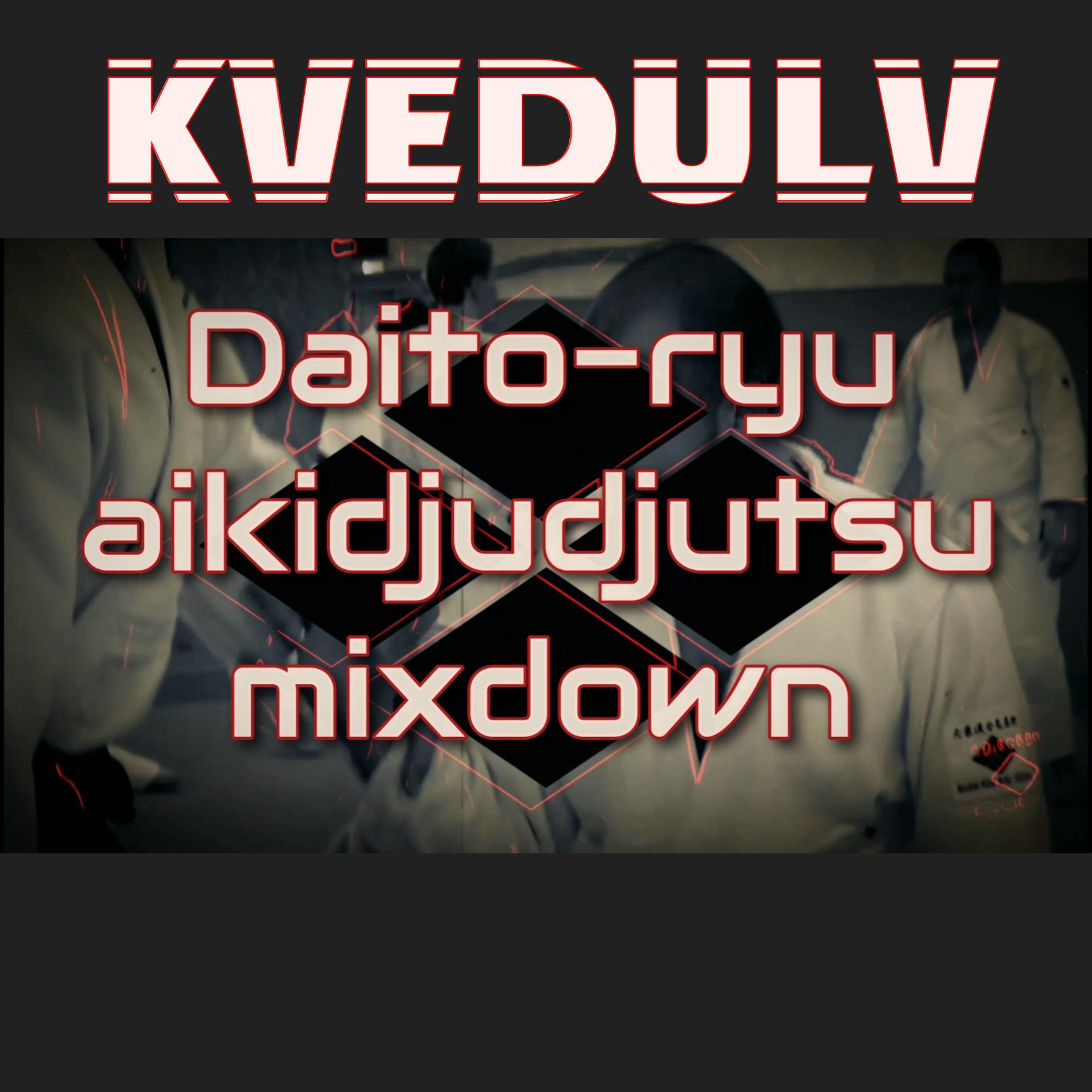 Постер альбома Daito-ryu Aikijujutsu Mixdown