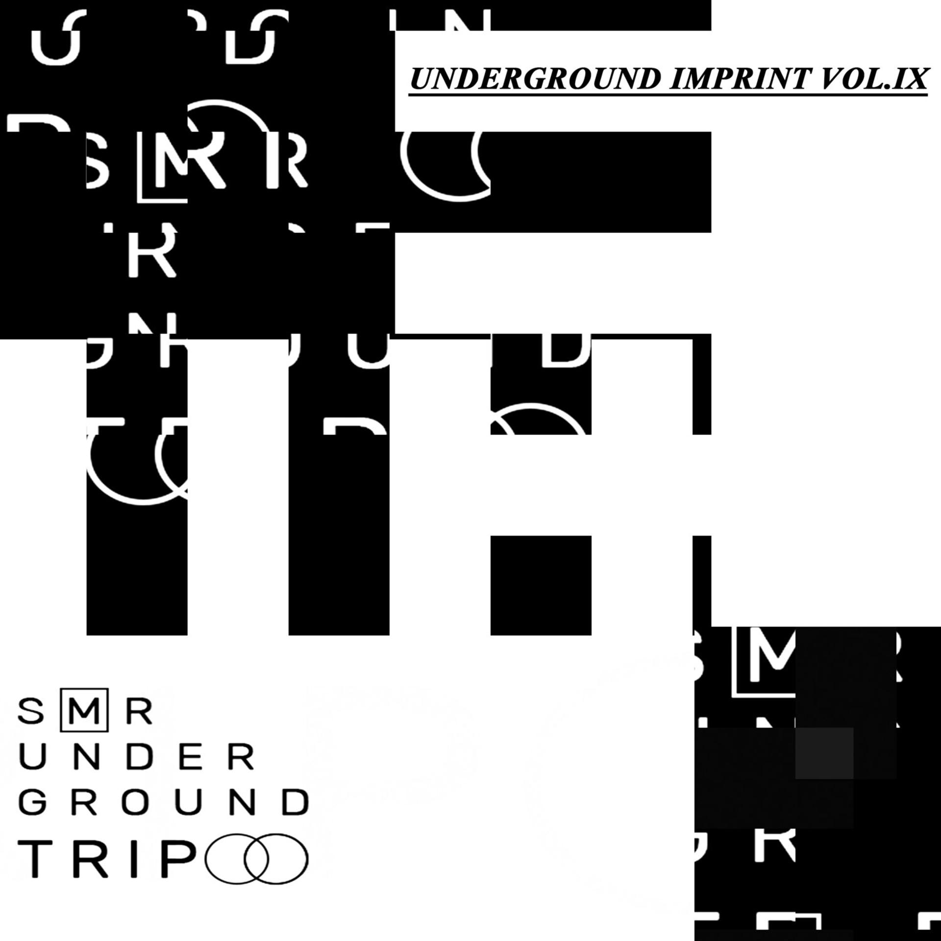 Постер альбома UndergrounD TriP Vol.IX