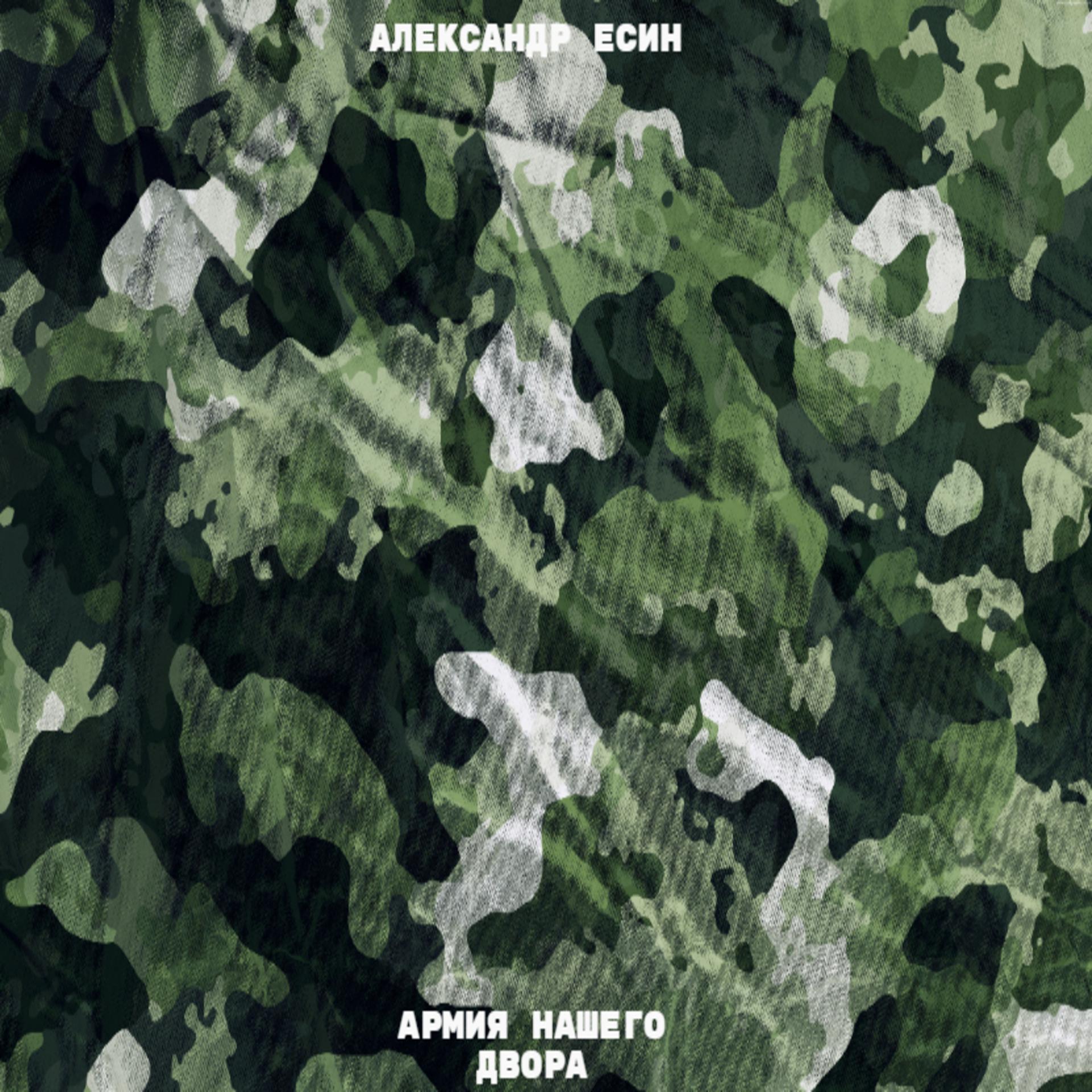Постер альбома Армия нашего двора