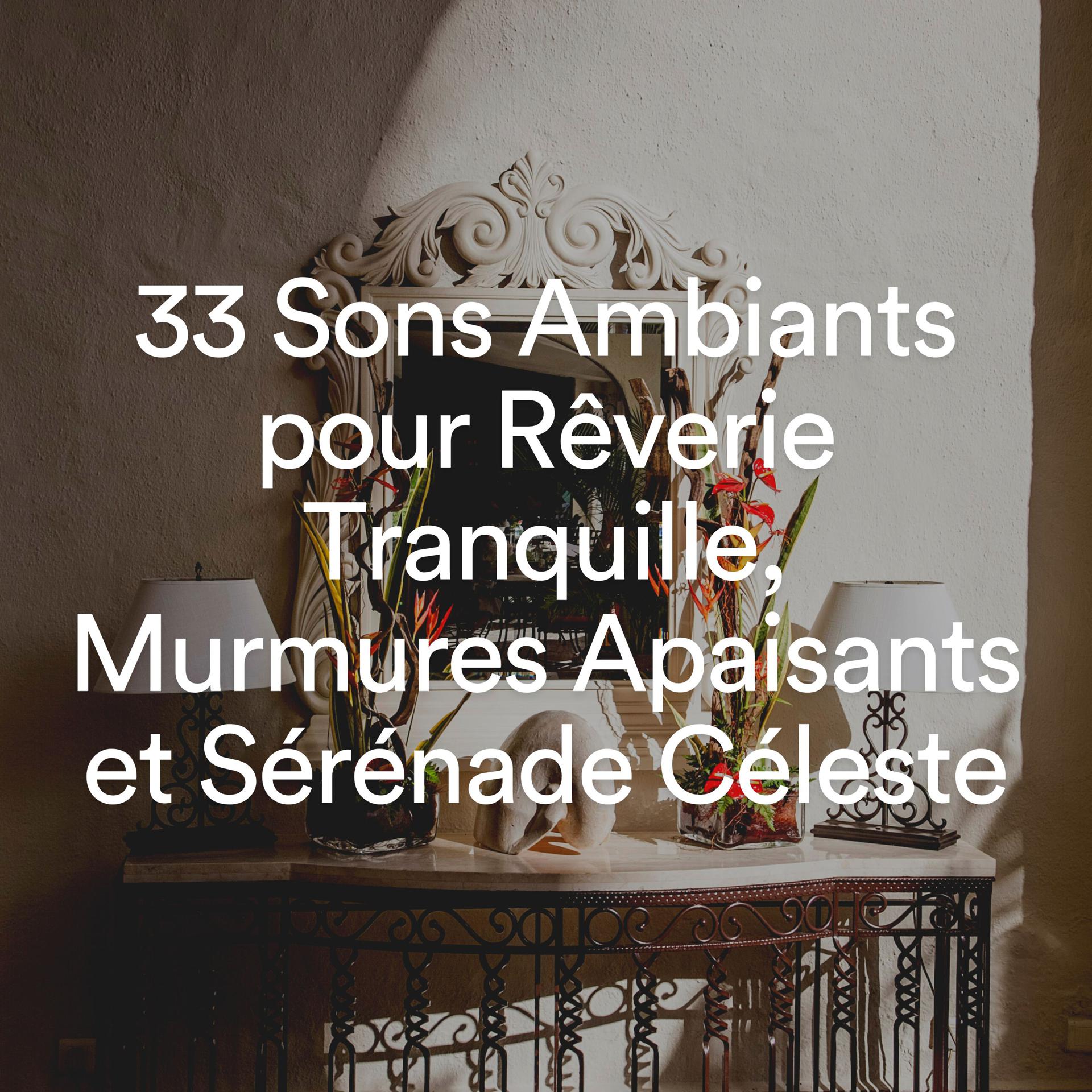 Постер альбома 33 Sons Ambiants pour Rêverie Tranquille, Murmures Apaisants et Sérénade Céleste
