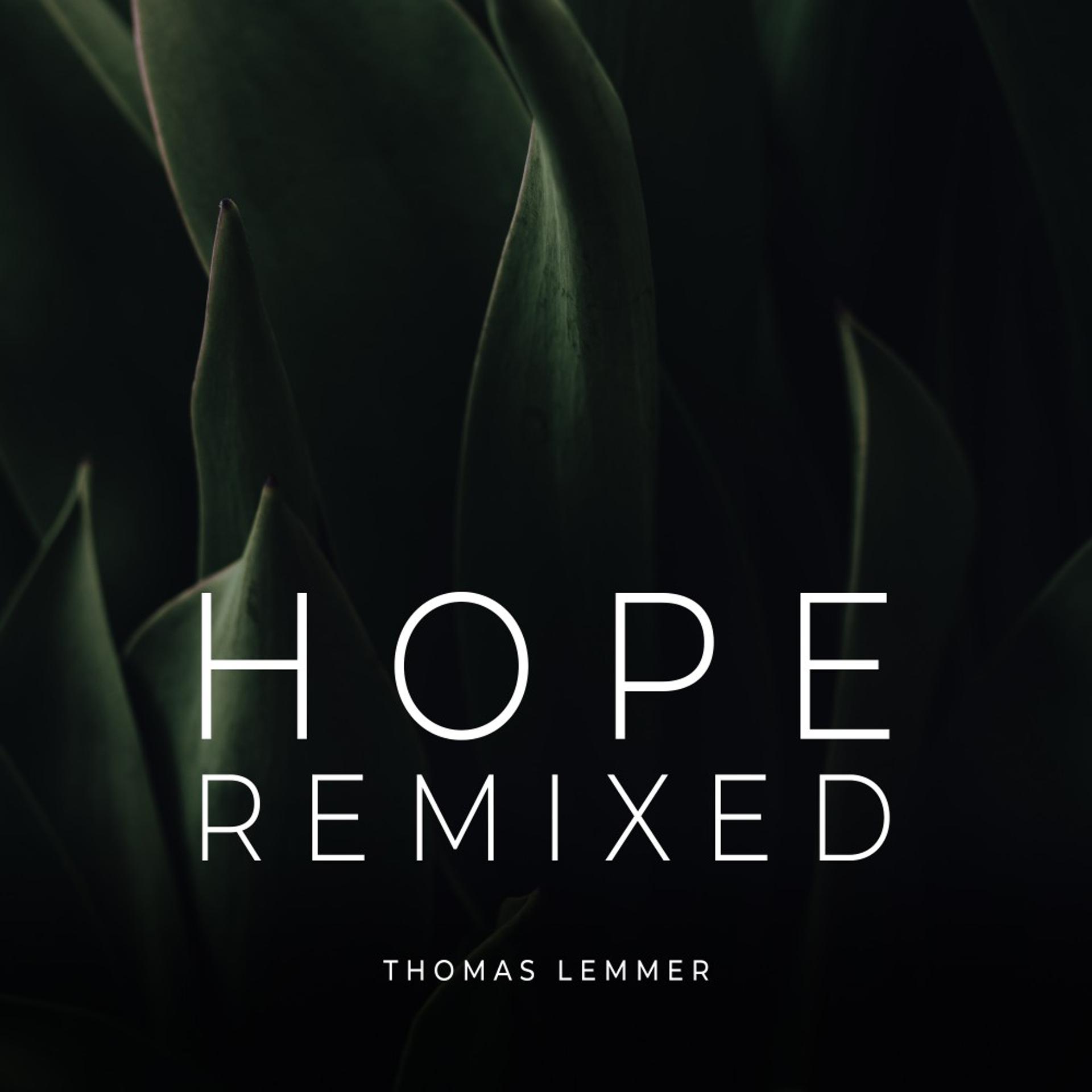 Постер альбома Hope Remixed