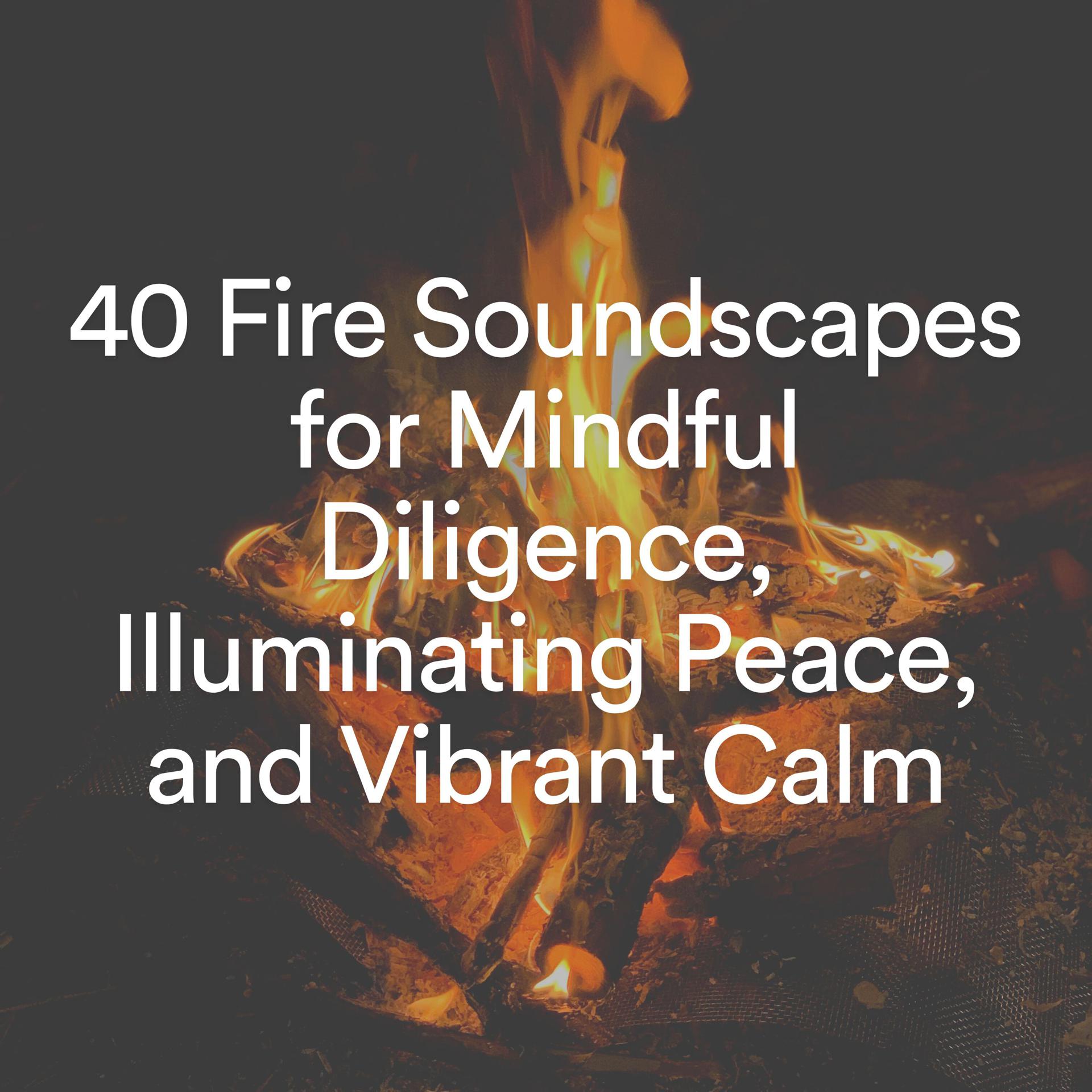 Постер альбома 40 Fire Soundscapes for Mindful Diligence, Illuminating Peace, and Vibrant Calm