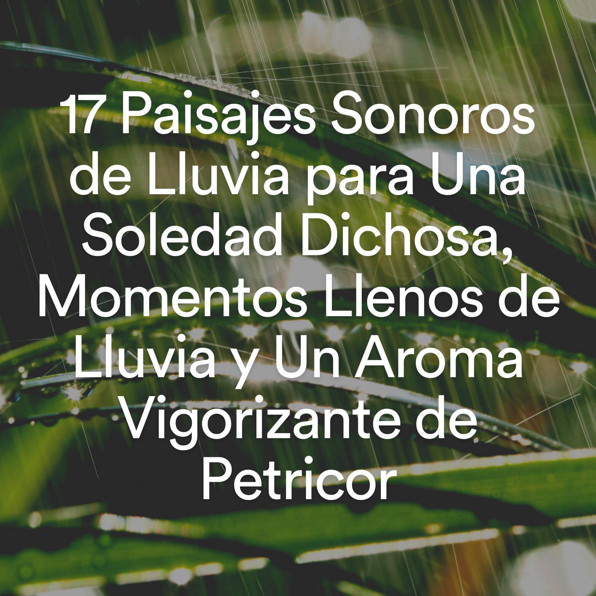 Постер альбома 17 Paisajes Sonoros de Lluvia para una Soledad Dichosa, Momentos Llenos de Lluvia y un Aroma Vigorizante de Petricor