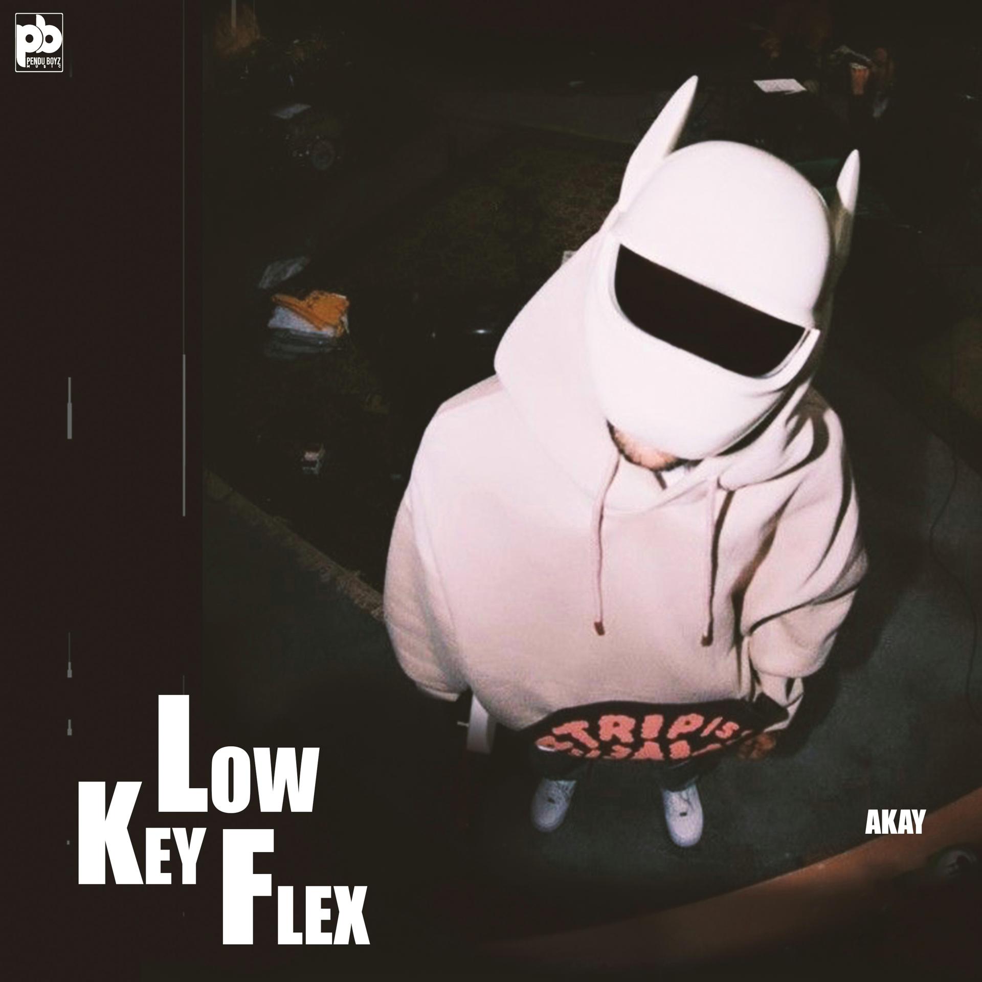Постер альбома Lowkey Flex