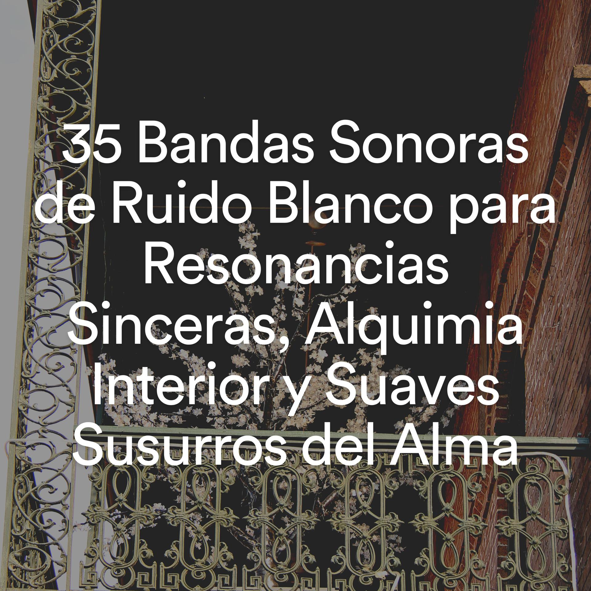 Постер альбома 35 Bandas Sonoras de Ruido Blanco para Resonancias Sinceras, Alquimia Interior y Suaves Susurros del Alma