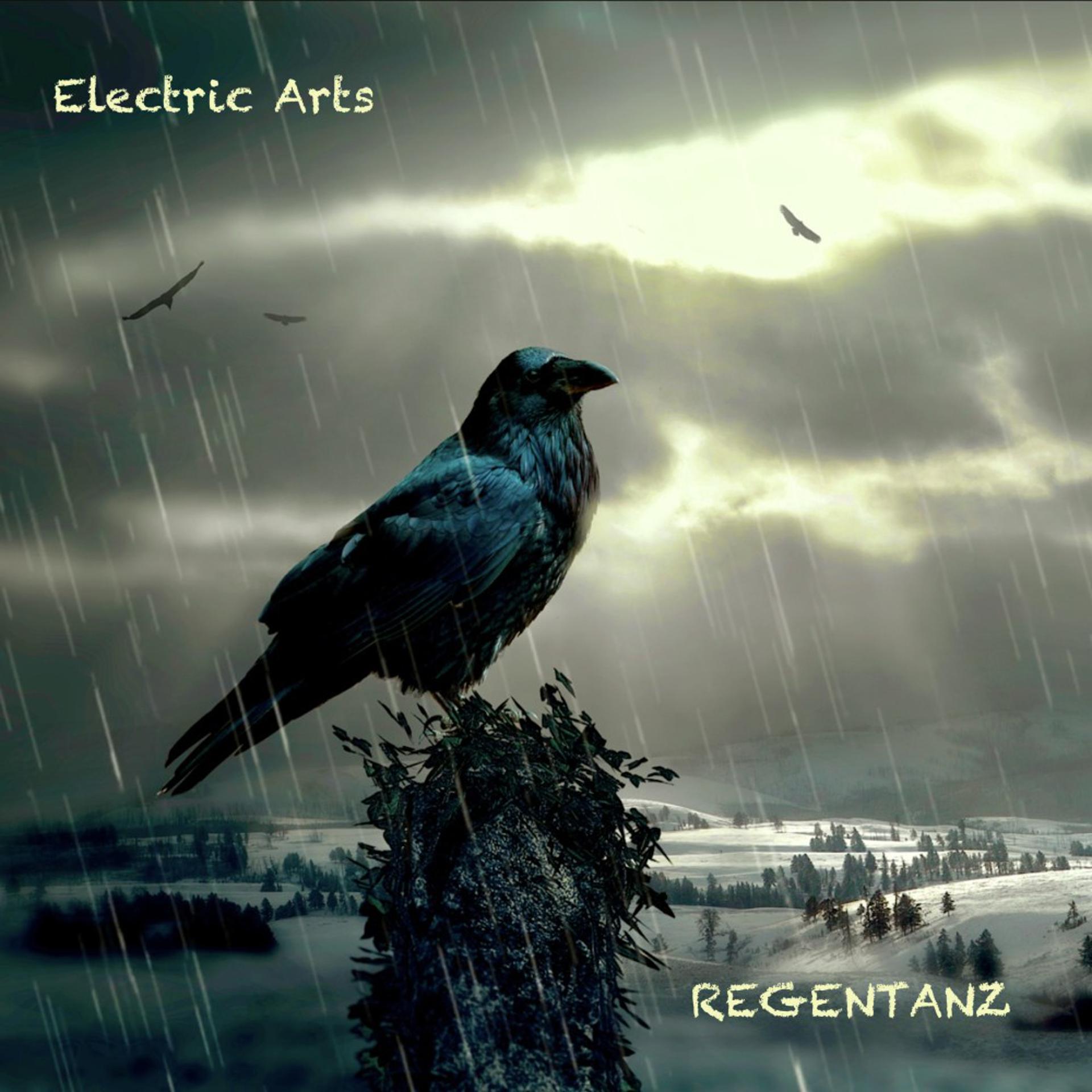Постер альбома Electric Arts (Regentanz)
