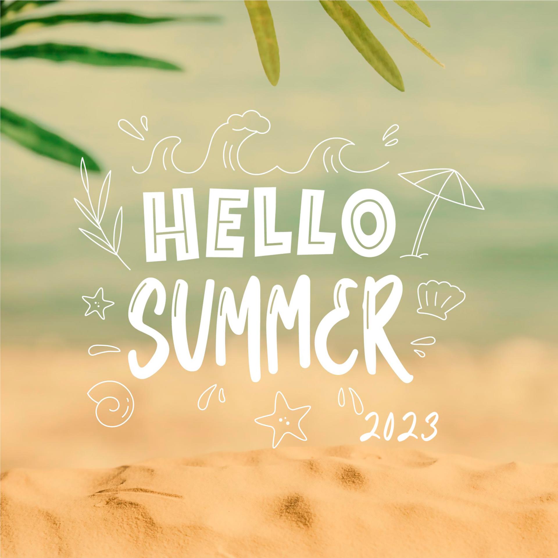 Постер альбома Hello Summer 2023