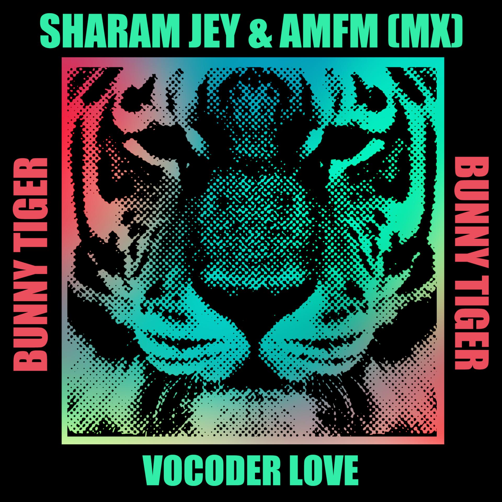 Постер альбома Vocoder Love