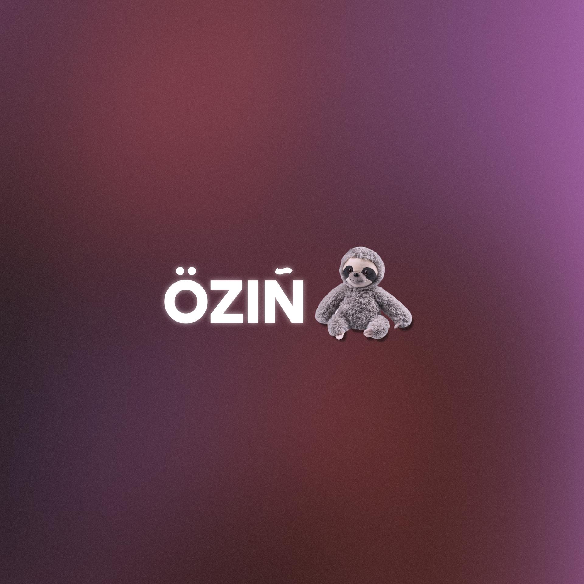 Постер альбома Özıñ
