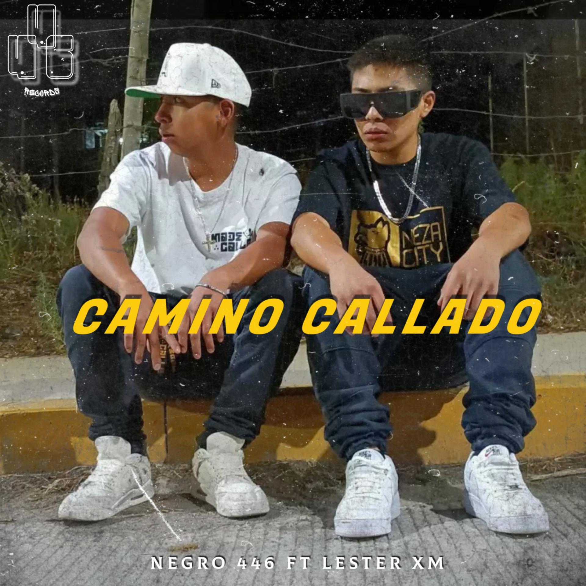 Постер альбома Camino Callado