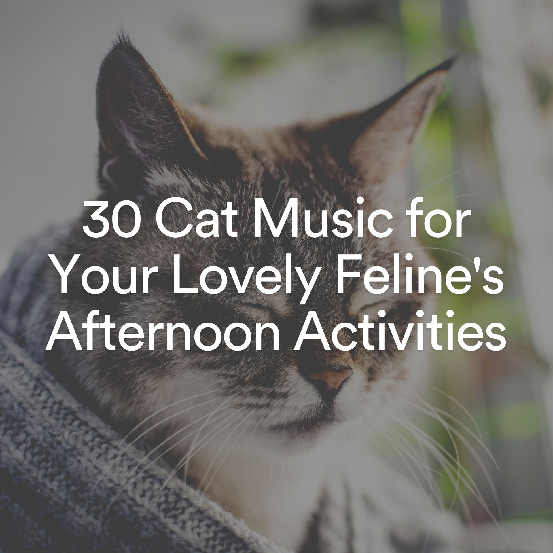Постер альбома 30 Cat Music for Your Lovely Feline's Afternoon Activities