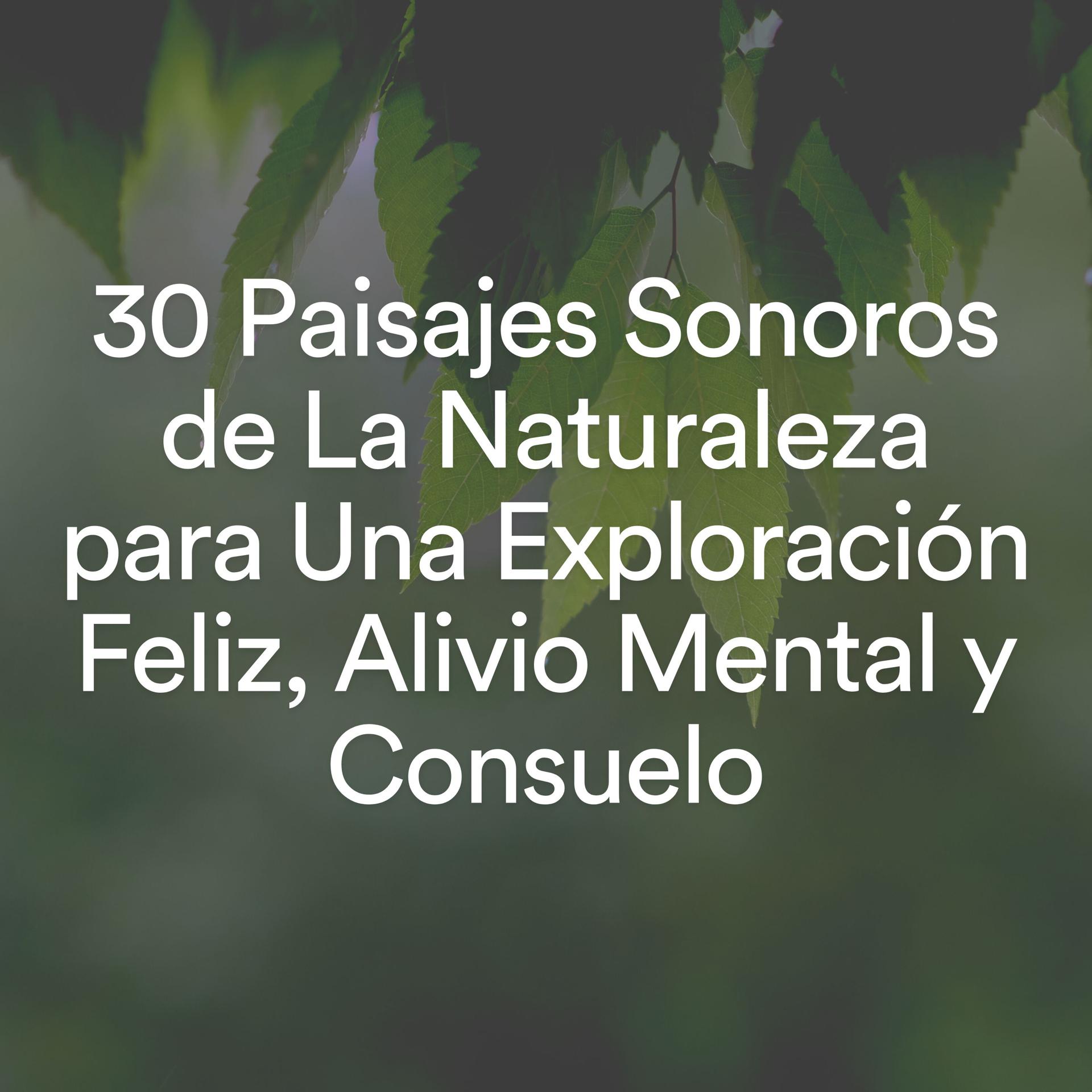 Постер альбома 30 Paisajes Sonoros de La Naturaleza para Una Exploración Feliz, Alivio Mental y Consuelo