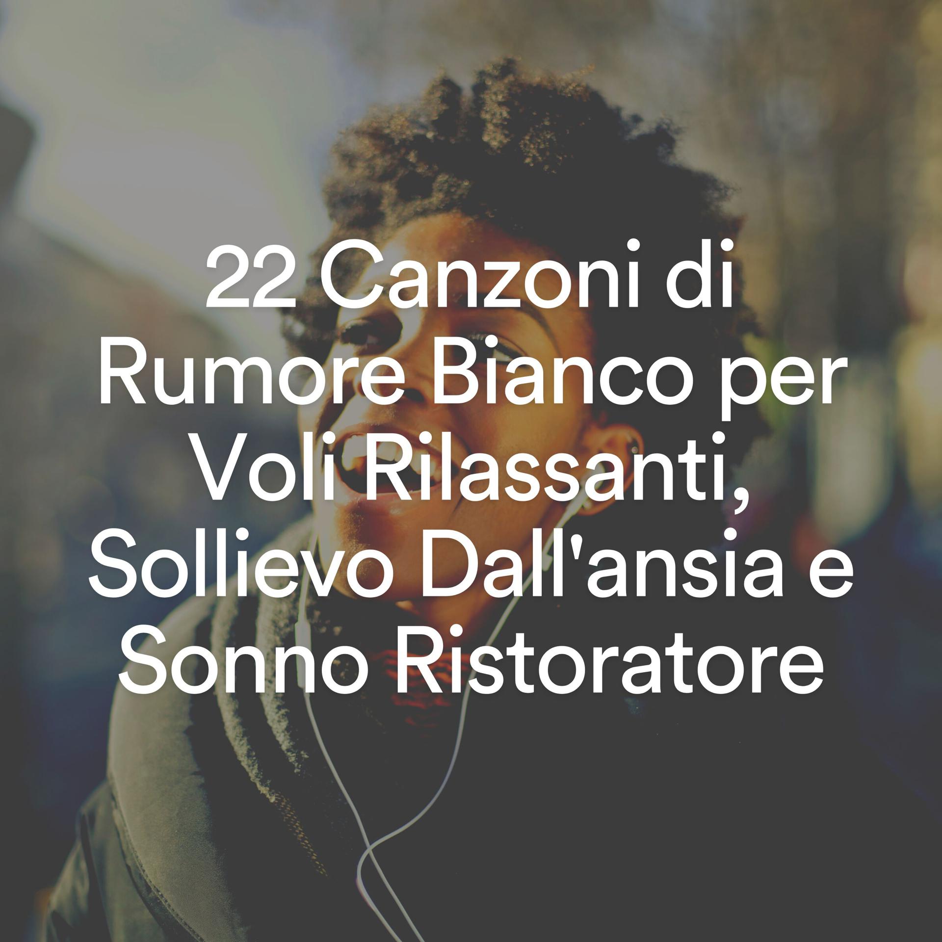 Постер альбома 22 Canzoni di Rumore Bianco per Voli Rilassanti, Sollievo Dall'ansia e Sonno Ristoratore