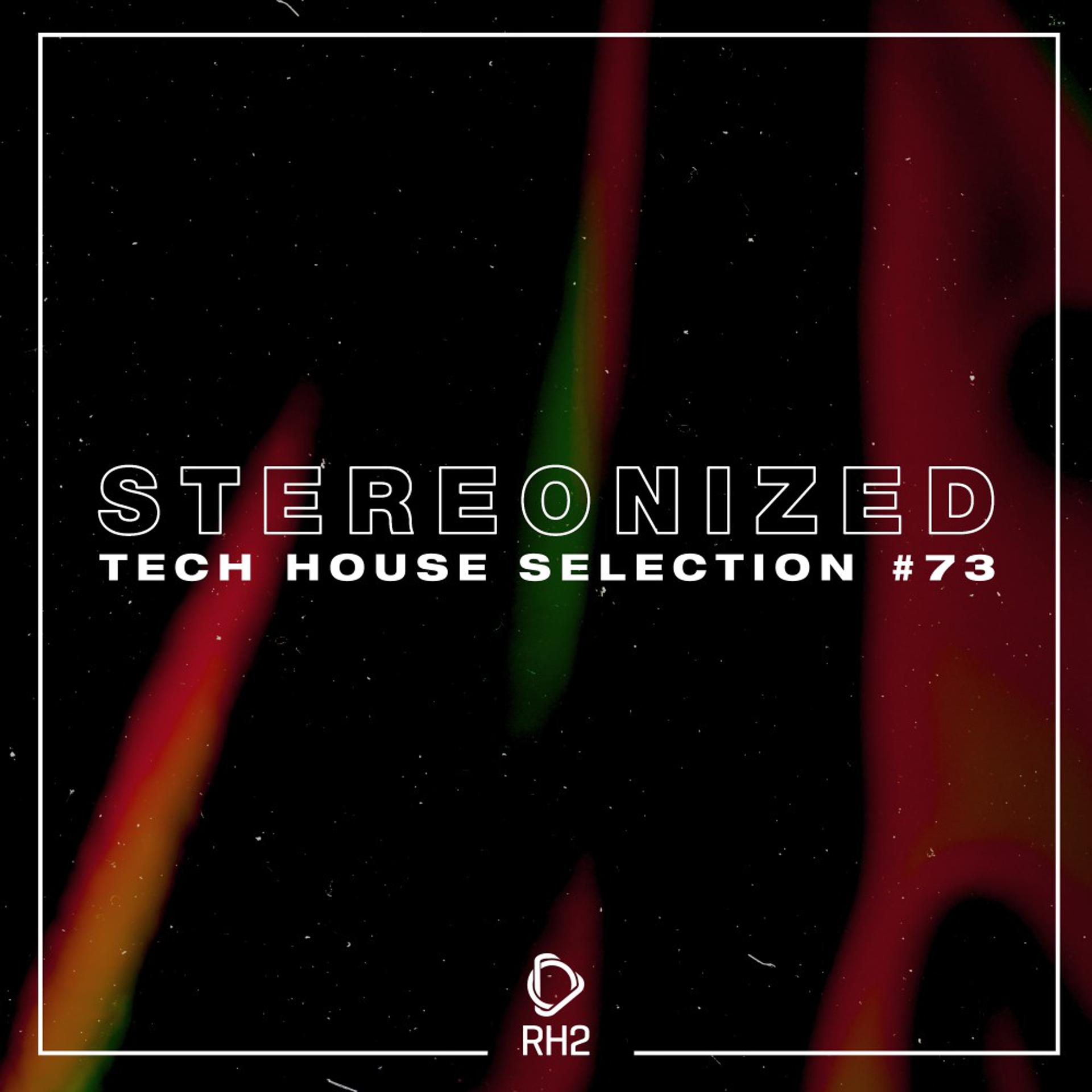 Постер альбома Stereonized: Tech House Selection, Vol. 73