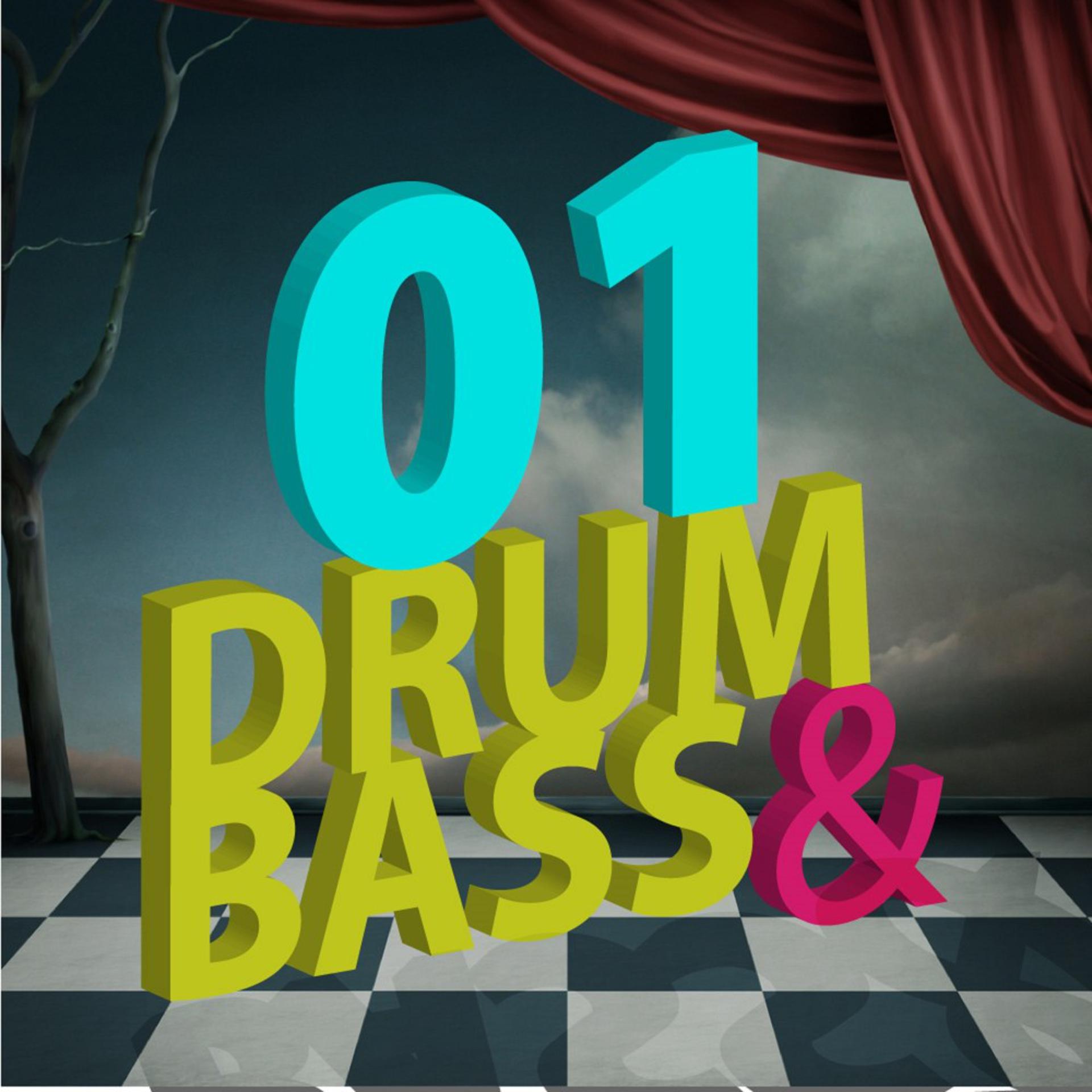Постер альбома Drum & Bass (01)