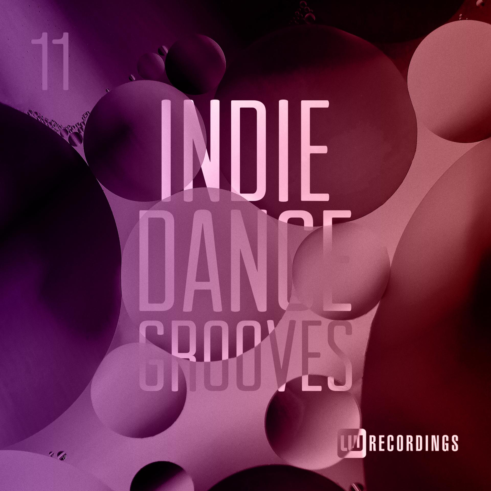 Постер альбома Indie Dance Grooves, Vol. 11
