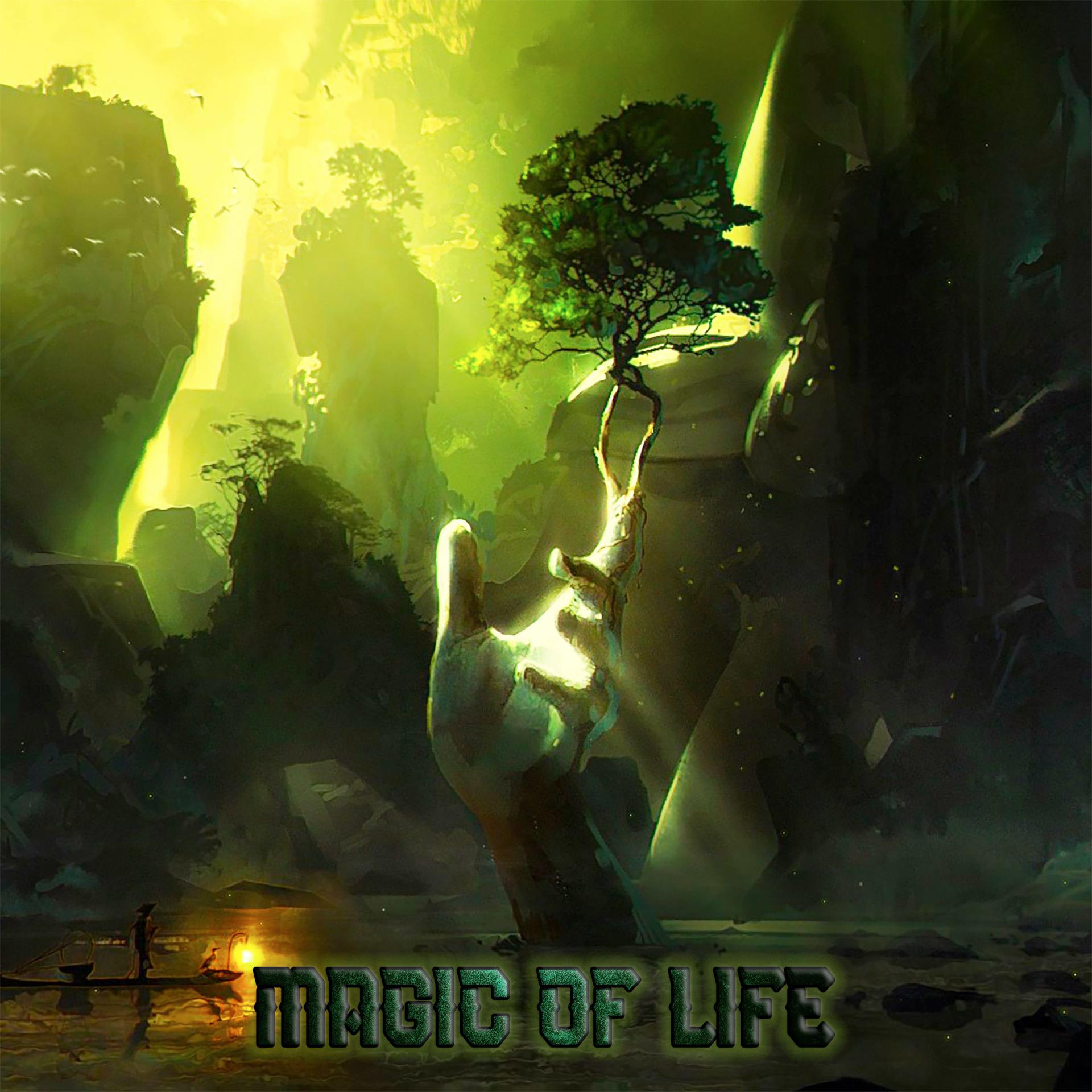 Постер альбома Magic of Life