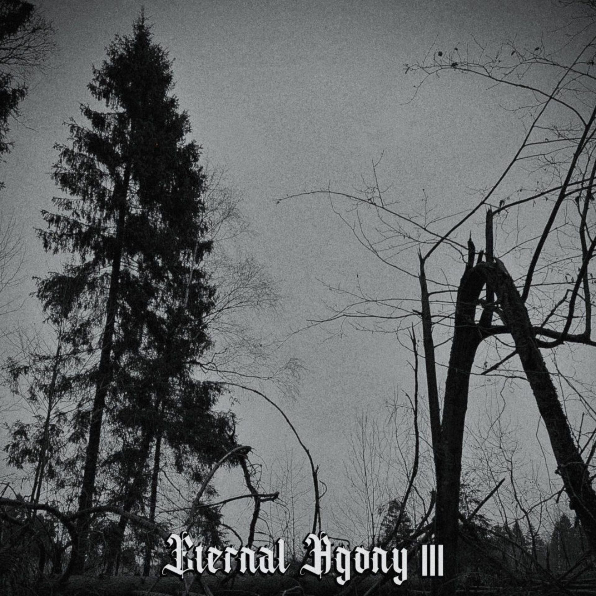 Постер альбома Eternal Agony III