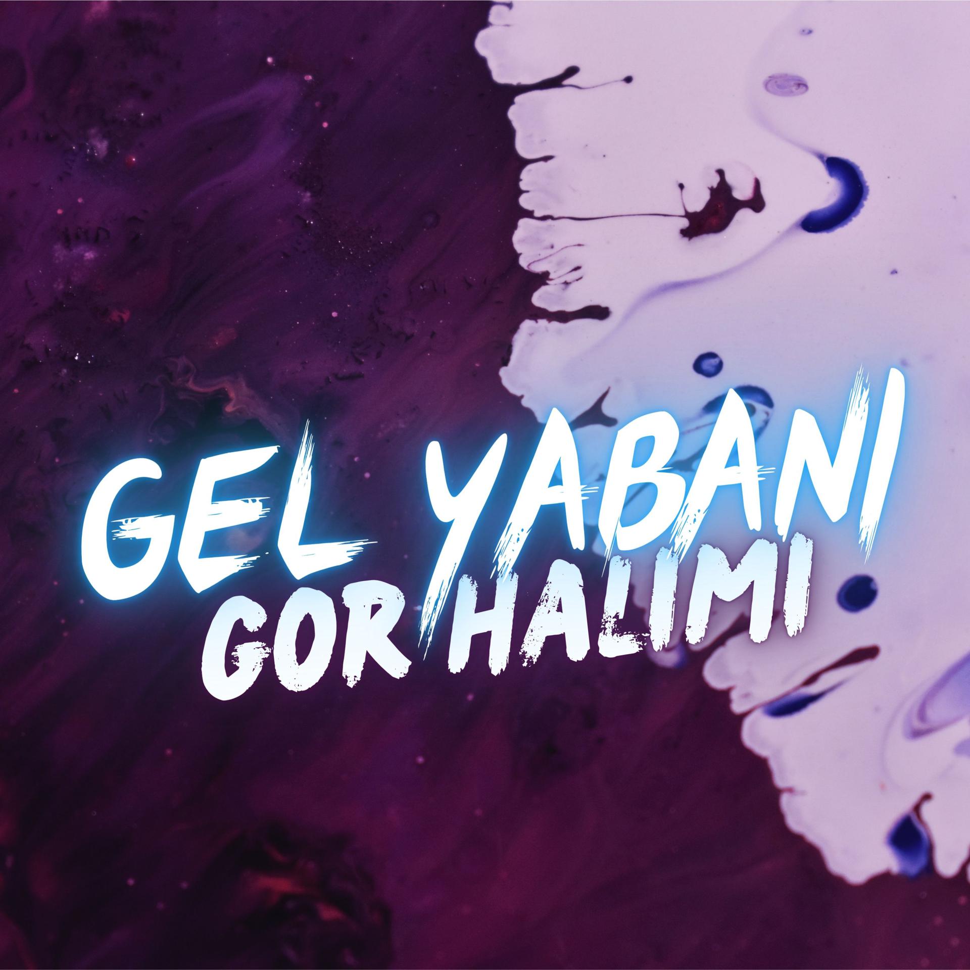 Постер альбома Gel Yabani Gör Halimi