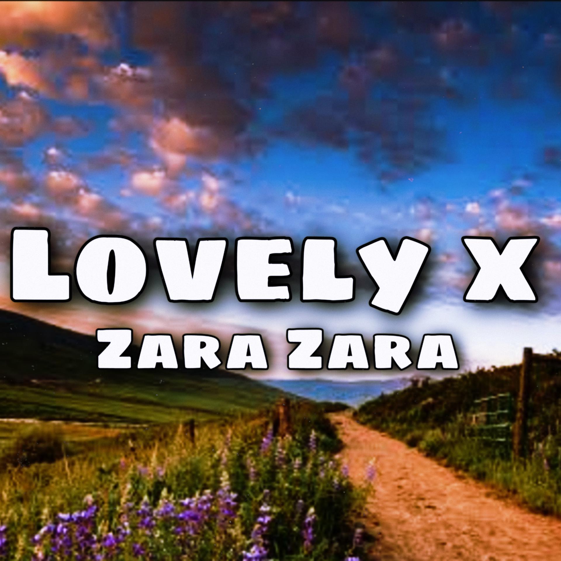 Постер альбома Lovely x Zara Zara