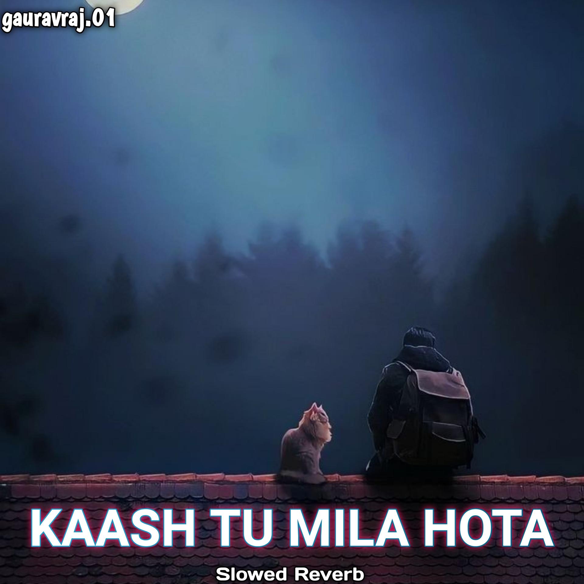Постер альбома Kaash Tu Mila Hota