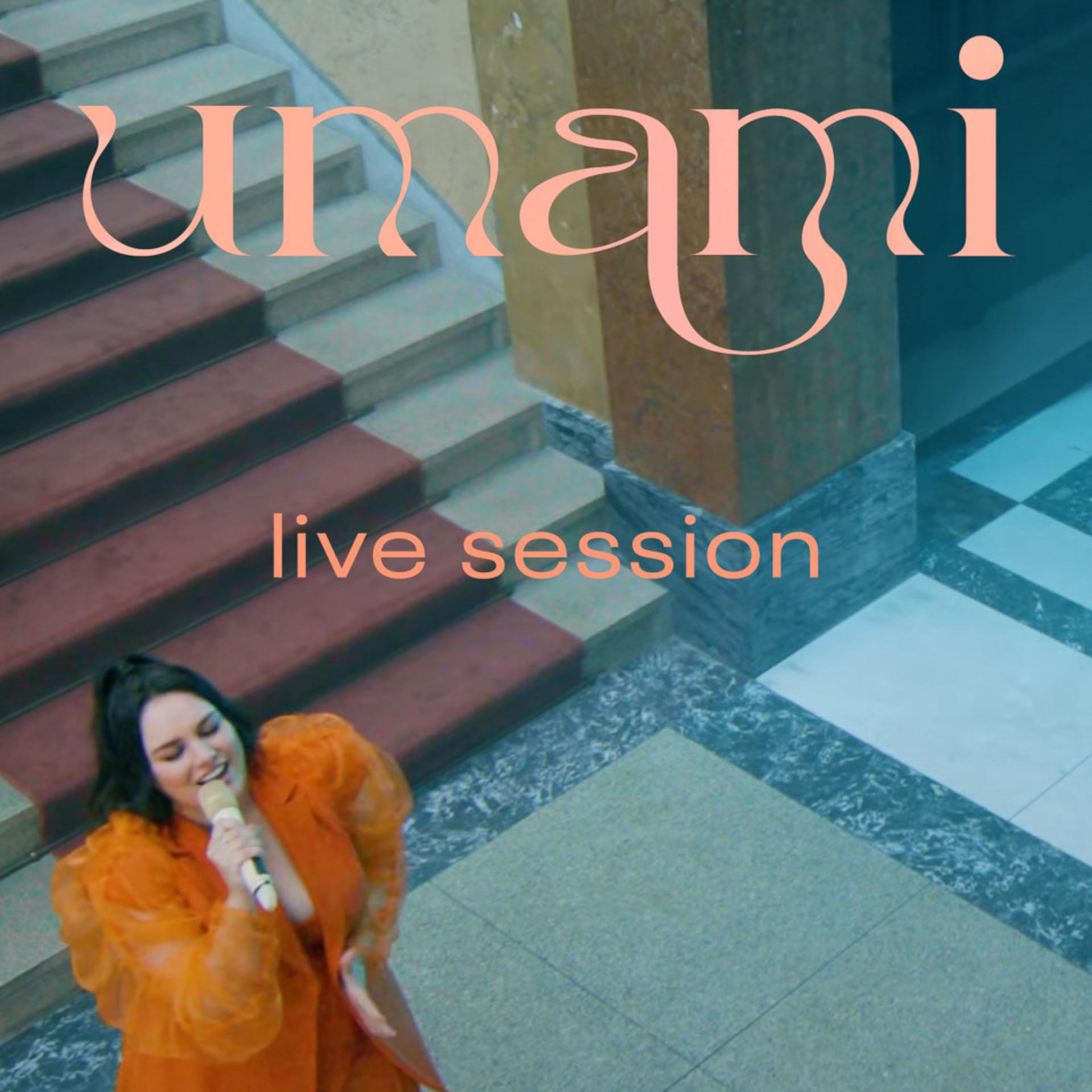 Постер альбома Umami
