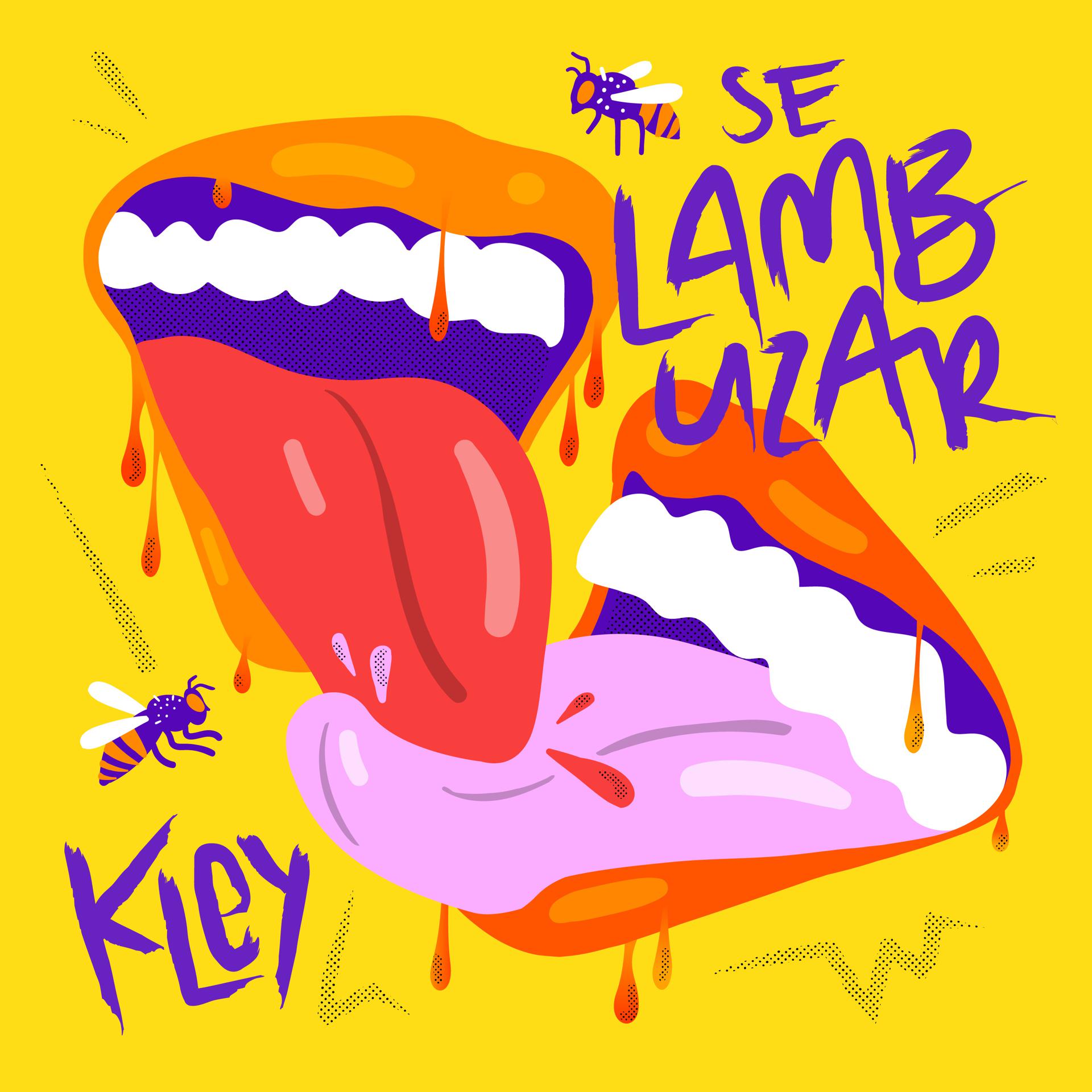 Постер альбома Se Lambuzar