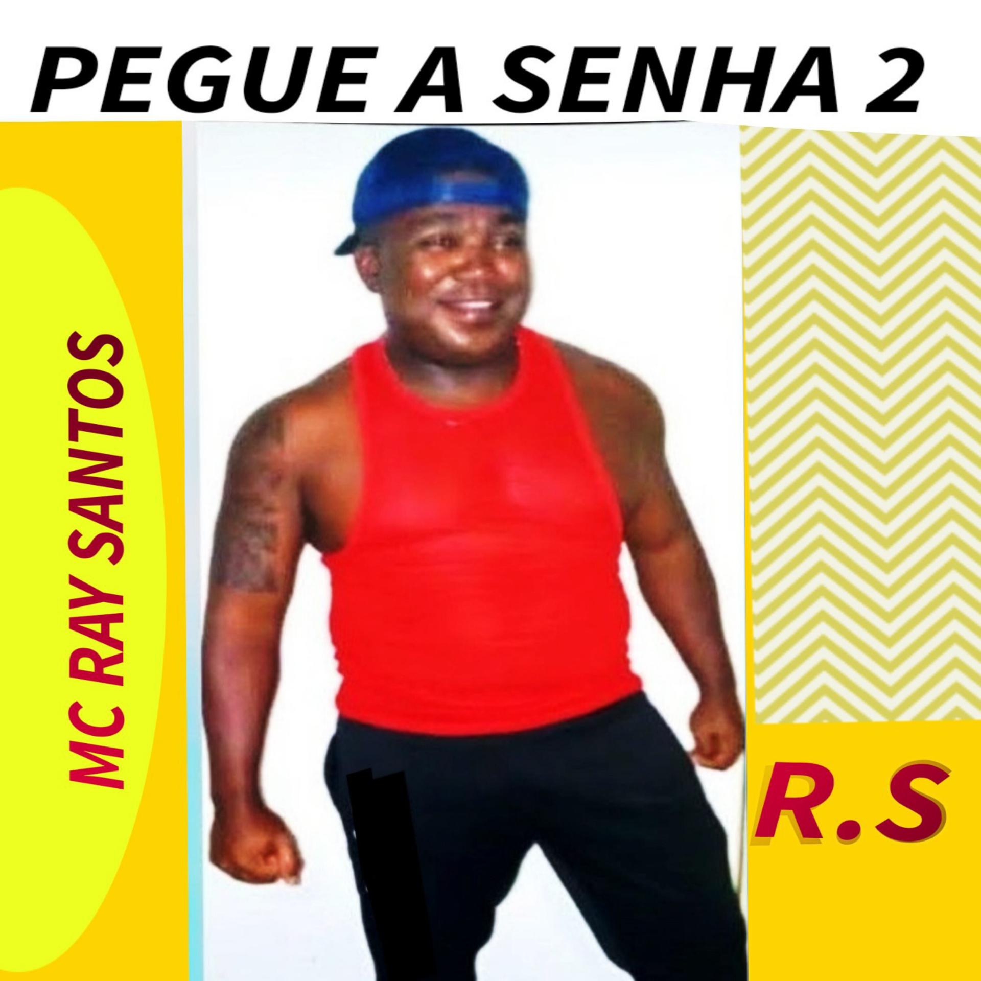 Постер альбома Pegue a Senha 2