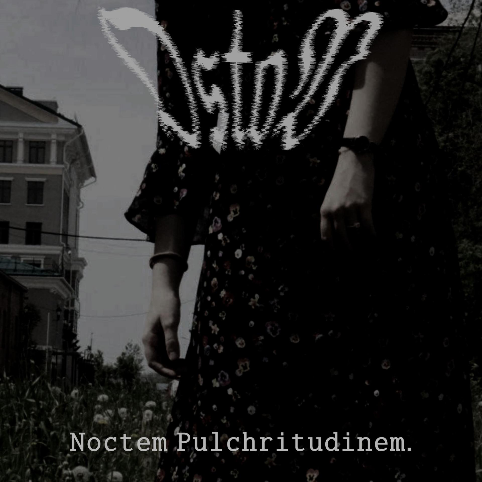 Постер альбома Noctem Pulchritudinem
