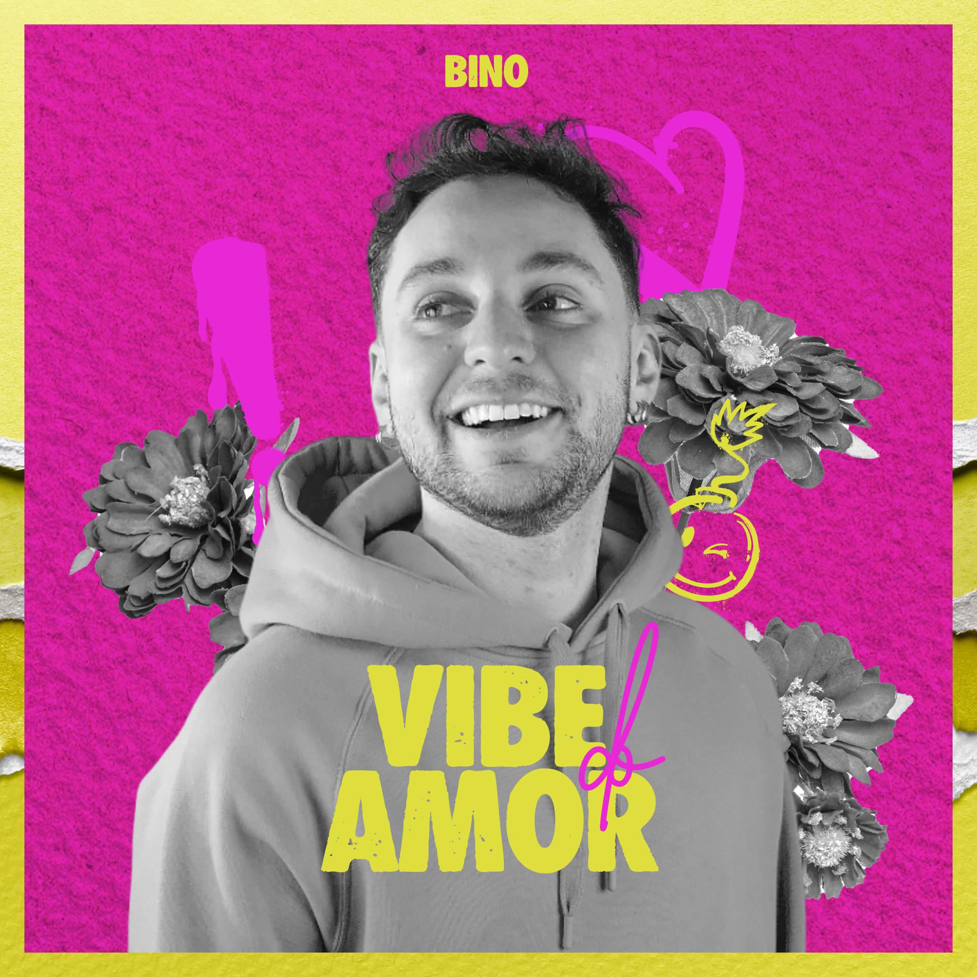 Постер альбома Vibe do Amor