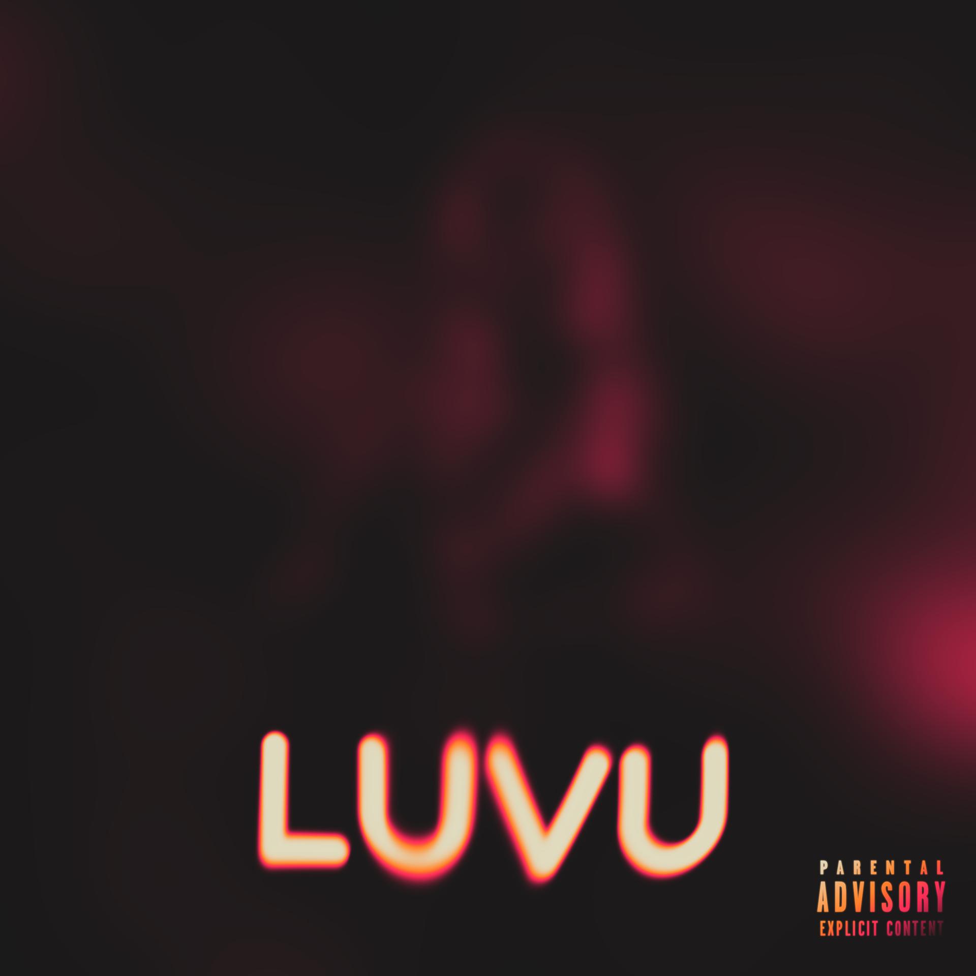 Постер альбома Luvu