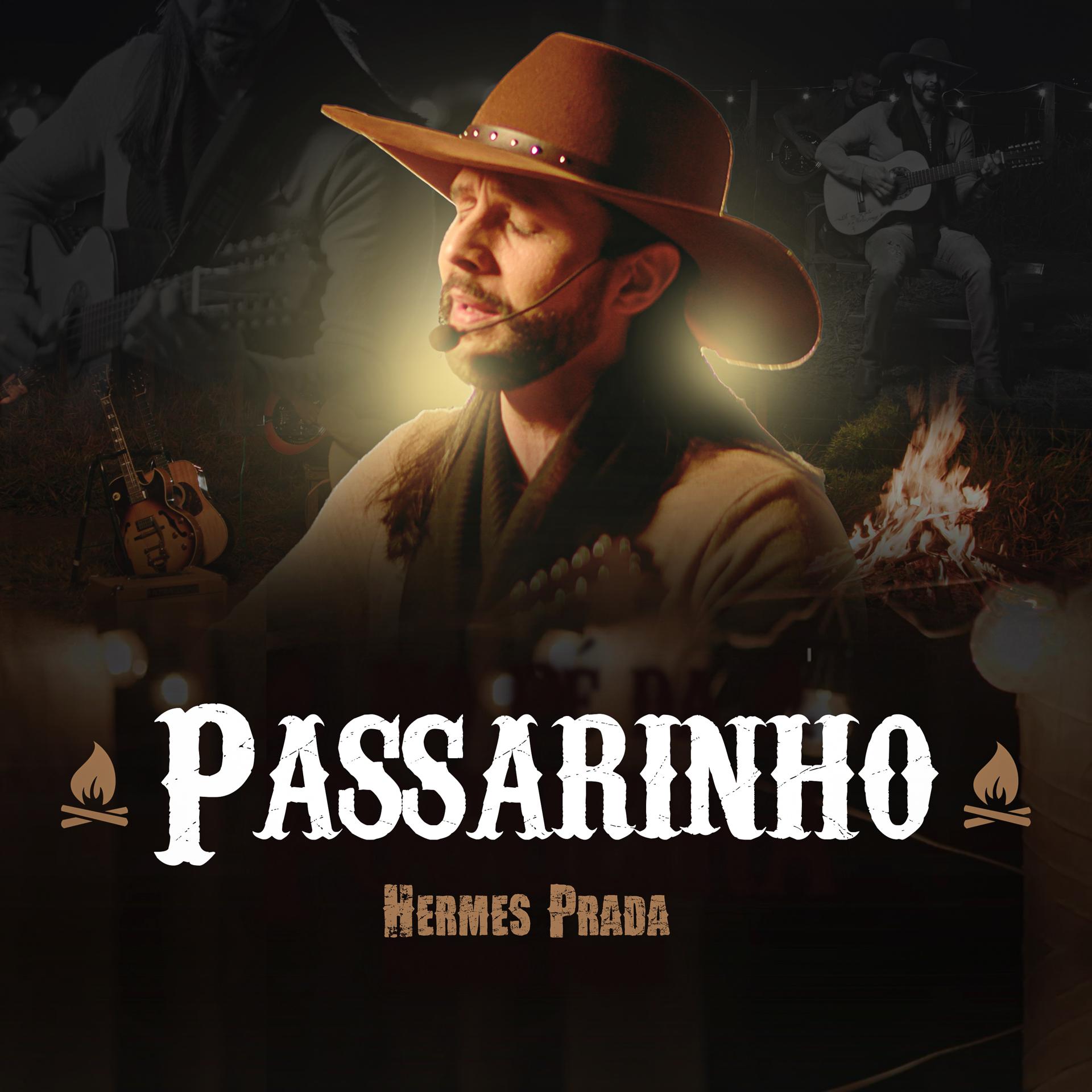 Постер альбома Passarinho