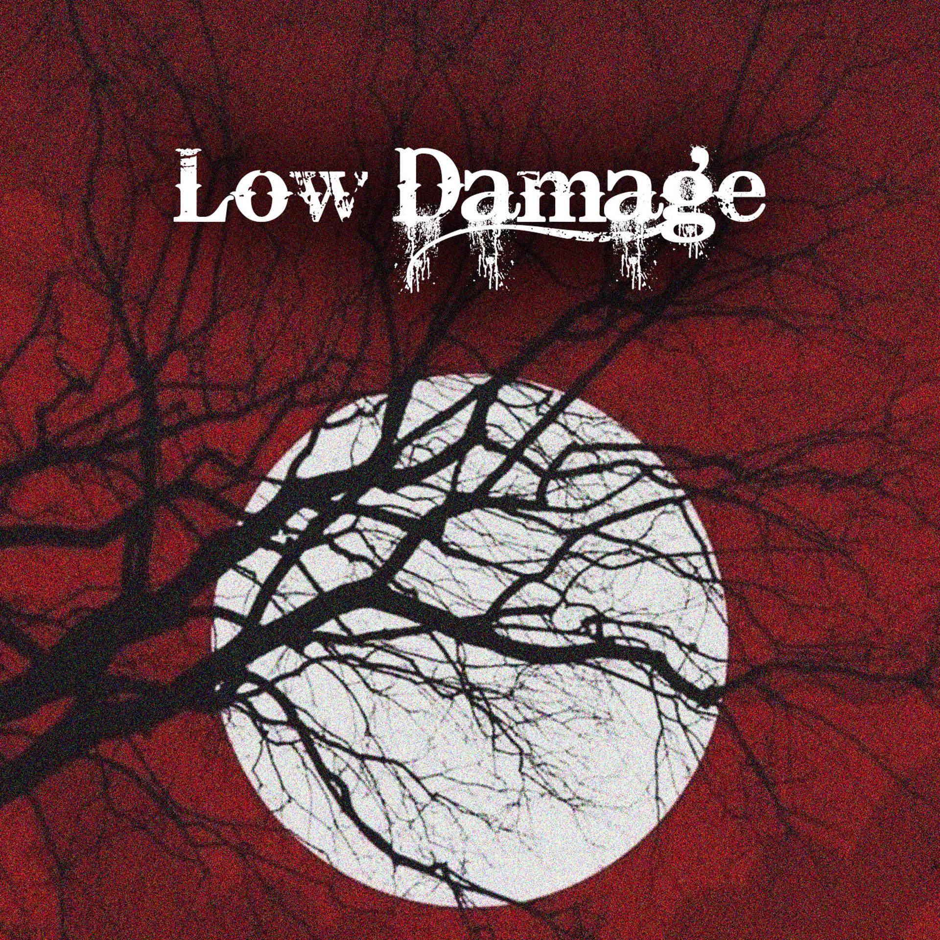 Постер альбома Low Damage