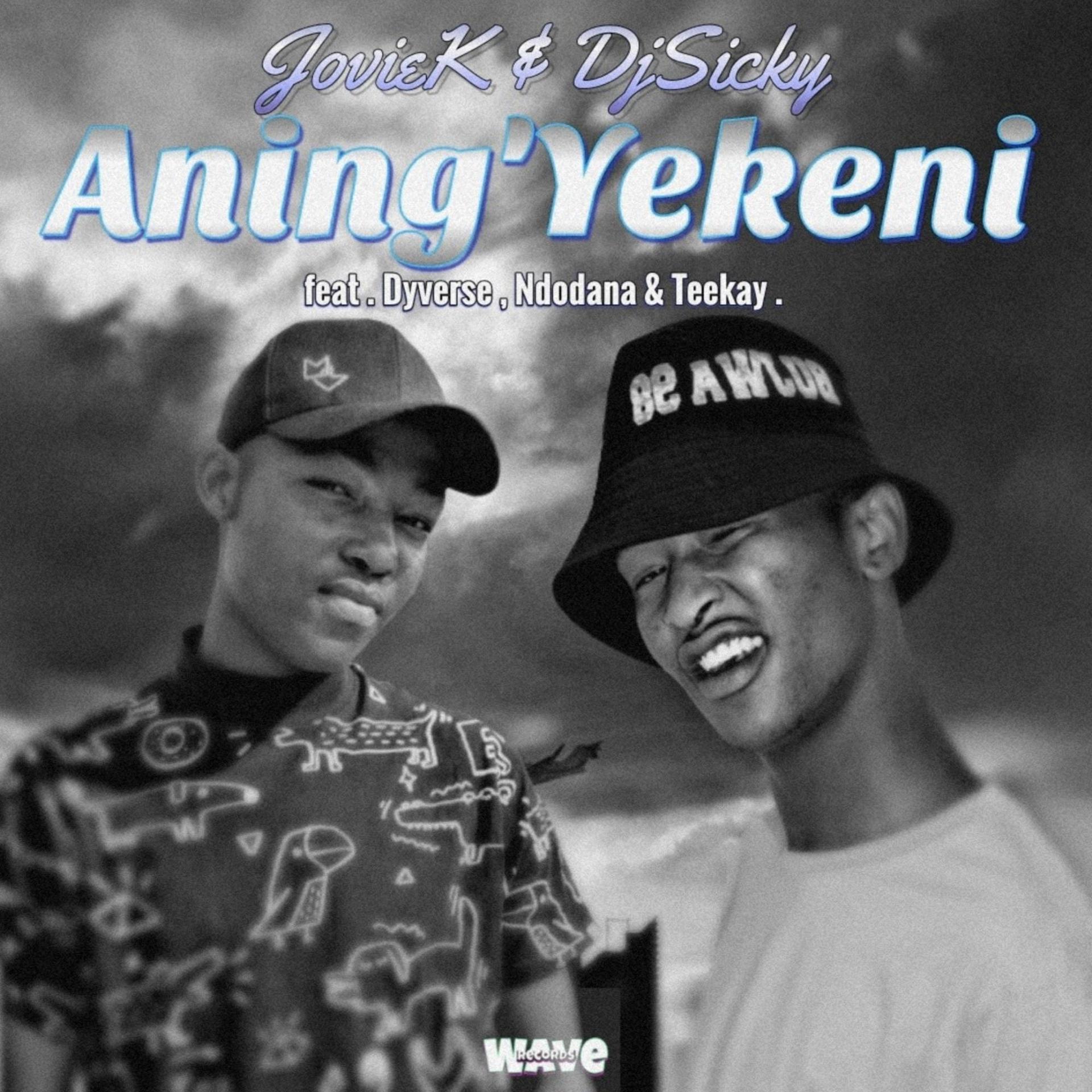 Постер альбома Aning'Yekeni (feat. Jovie k,Dyverse,Ndodana & Teekay)
