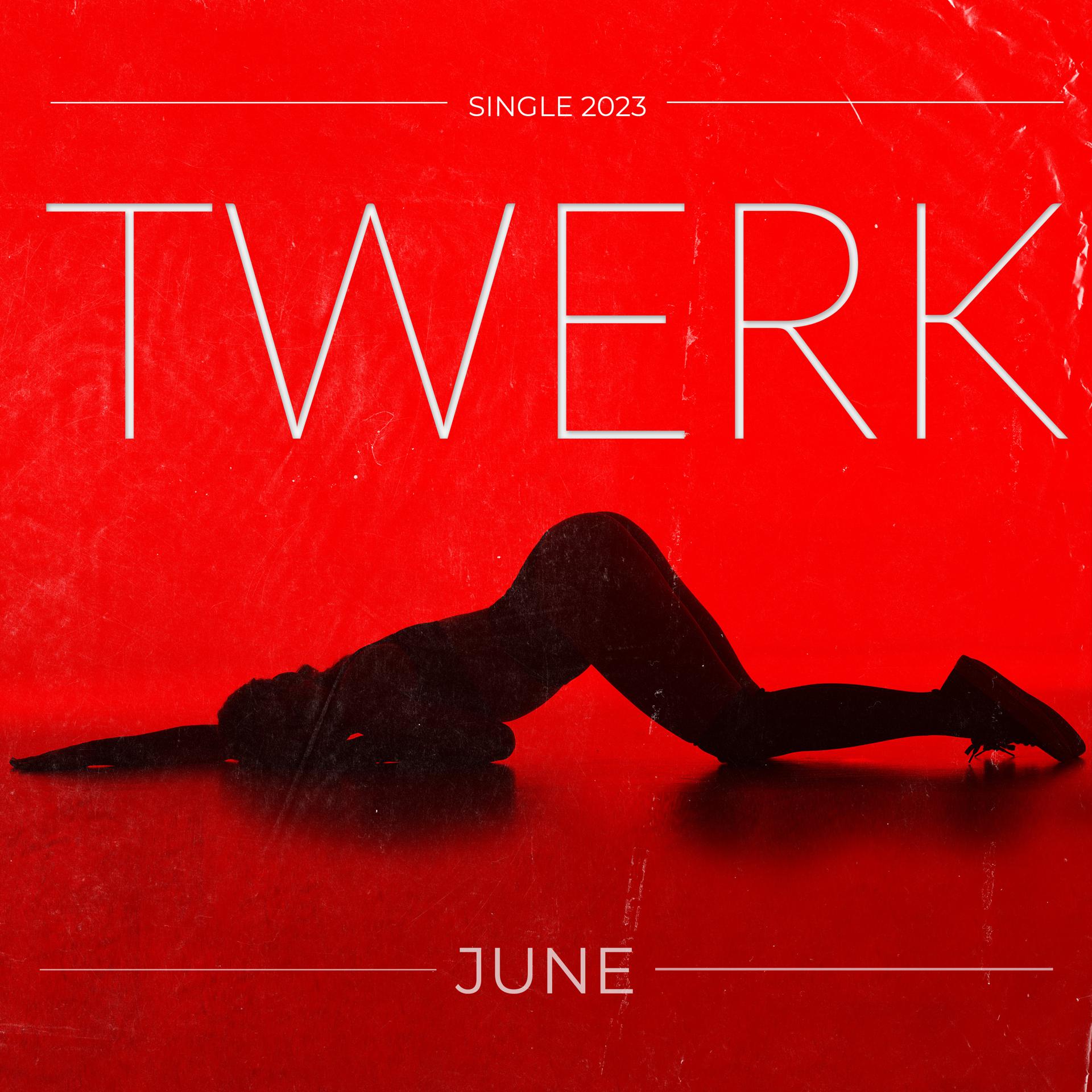 Постер альбома Twerk
