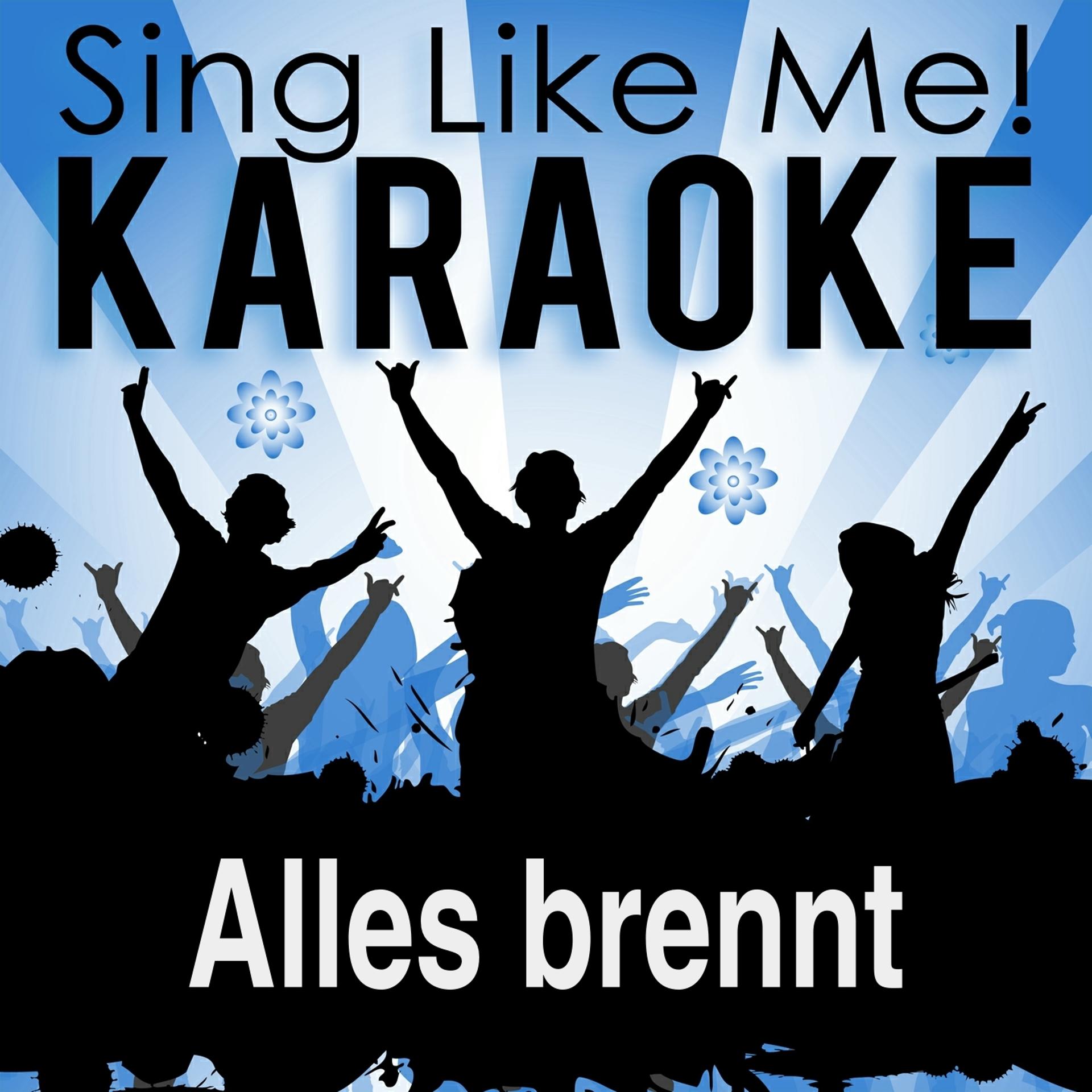 Постер альбома Alles brennt (Karaoke Version)