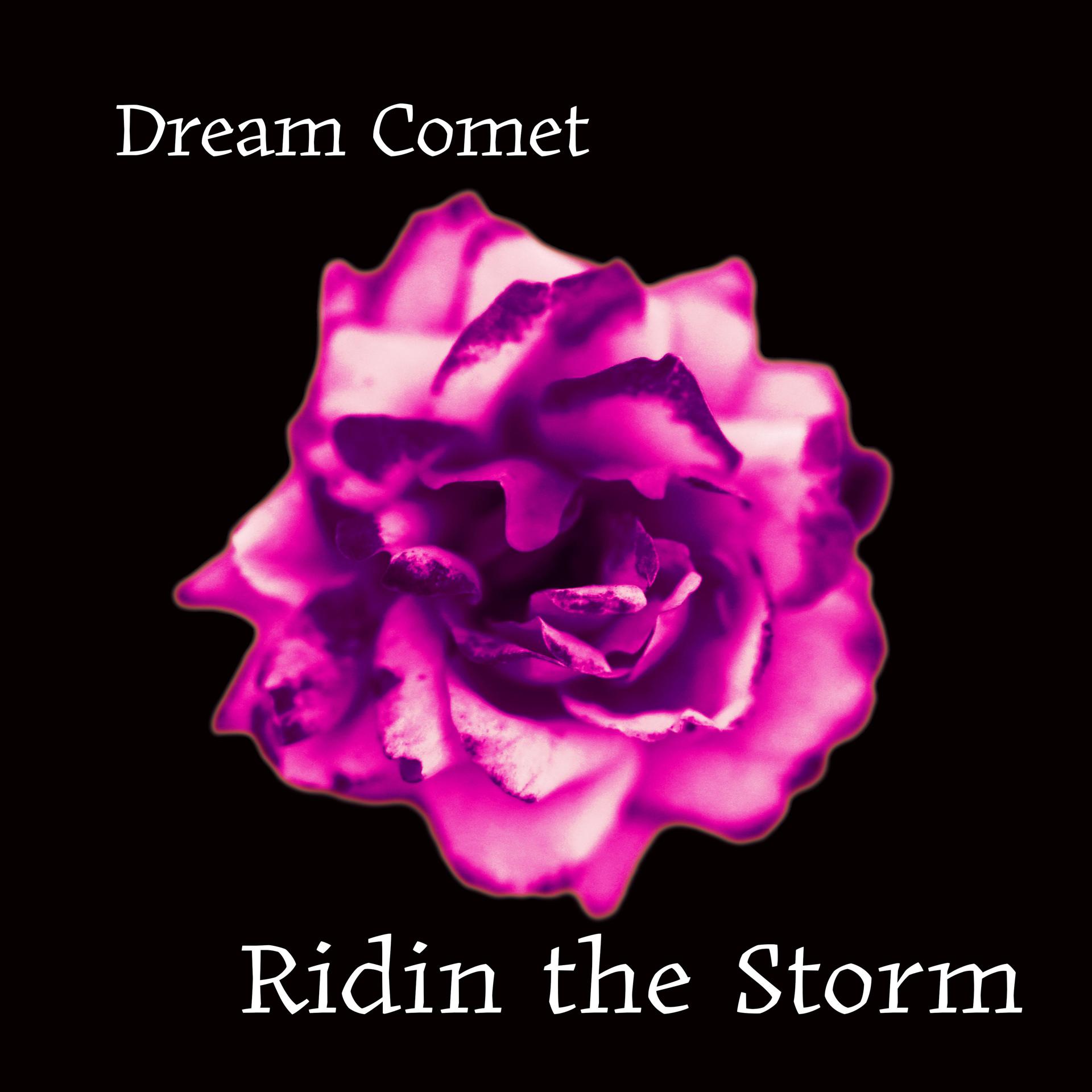 Постер альбома Ridin the Storm