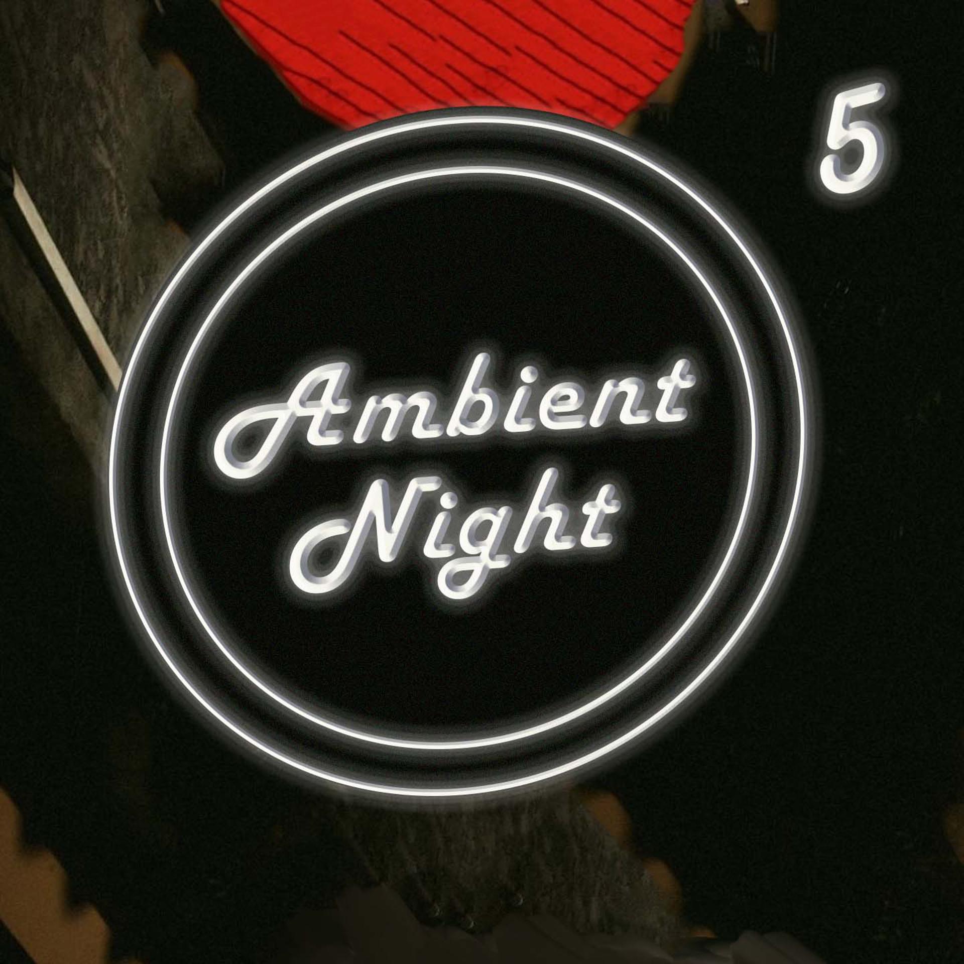 Постер альбома Ambient Nights 5