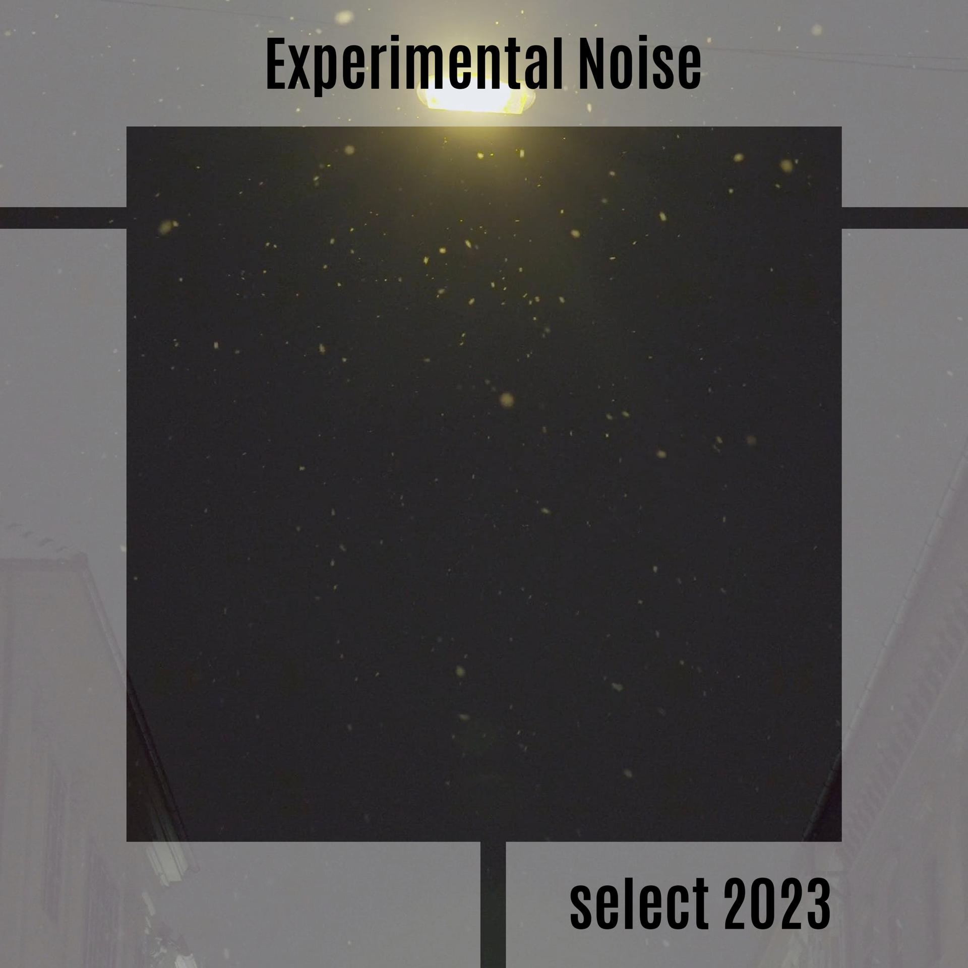 Постер альбома Experimental Noise Select 2023