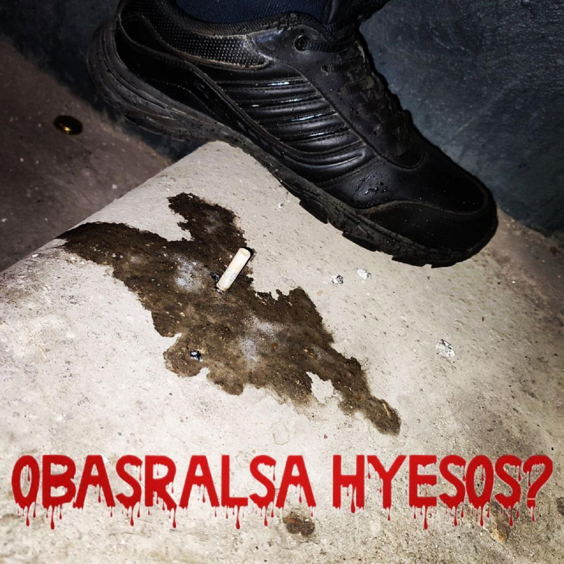 Постер альбома Obasralsa Hyesos?