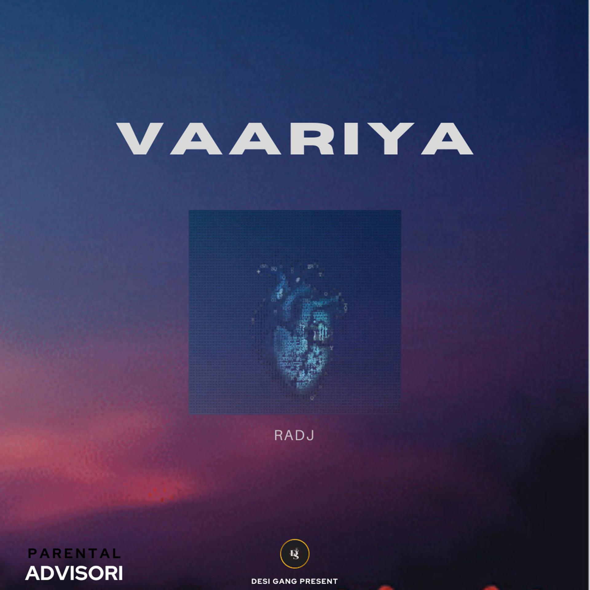 Постер альбома Vaariya