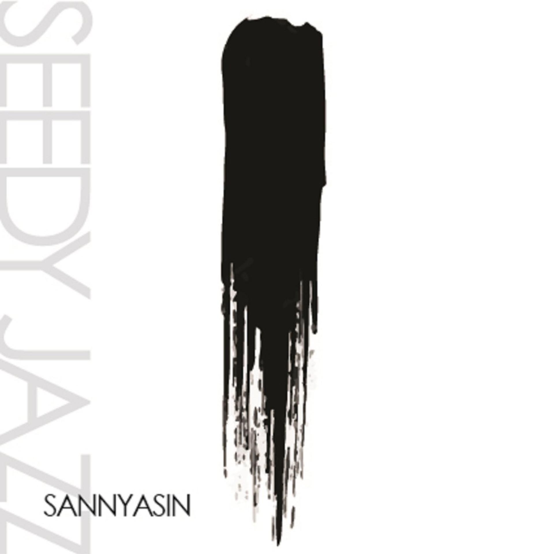 Постер альбома Sannyasin