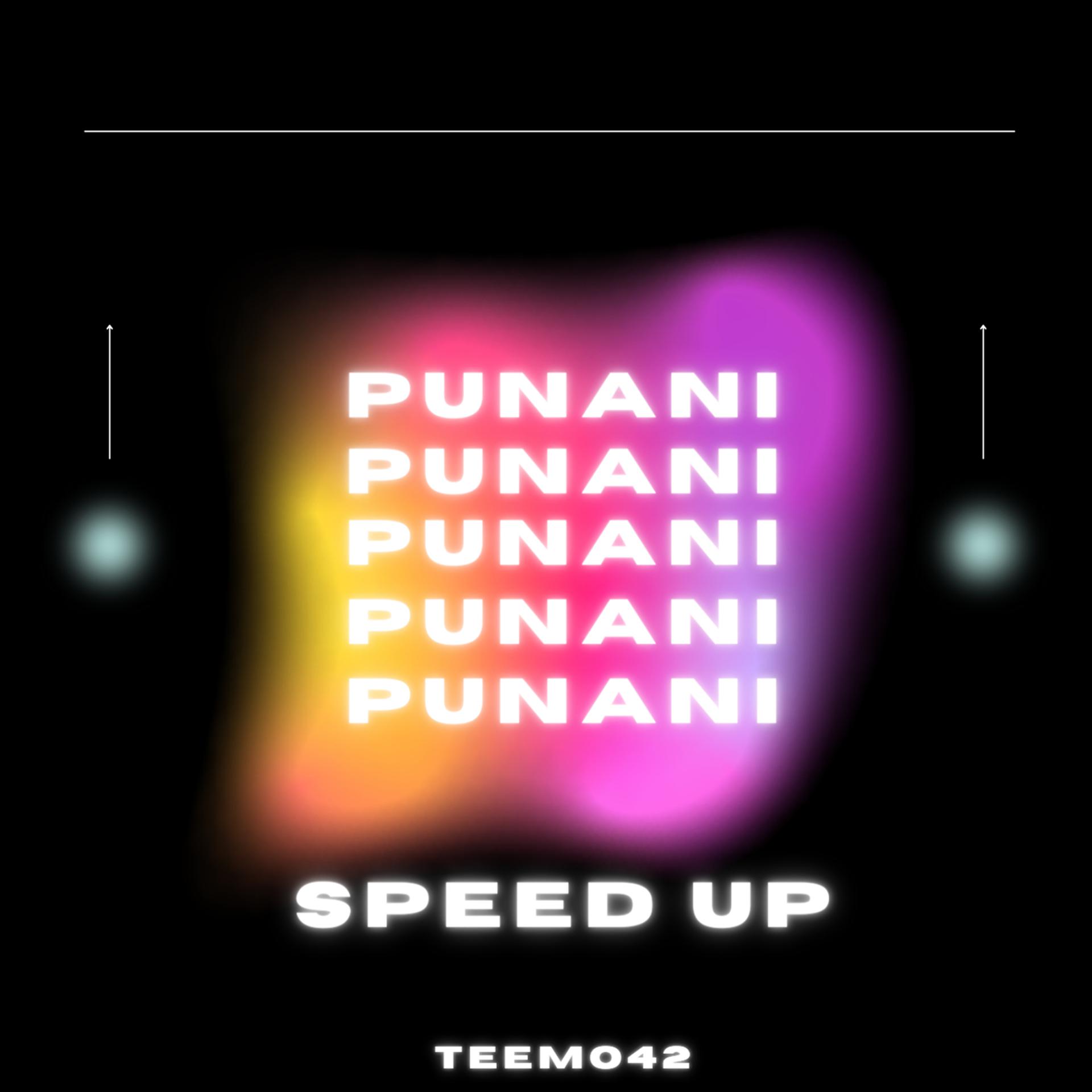 Постер альбома Punani (Speed Up)
