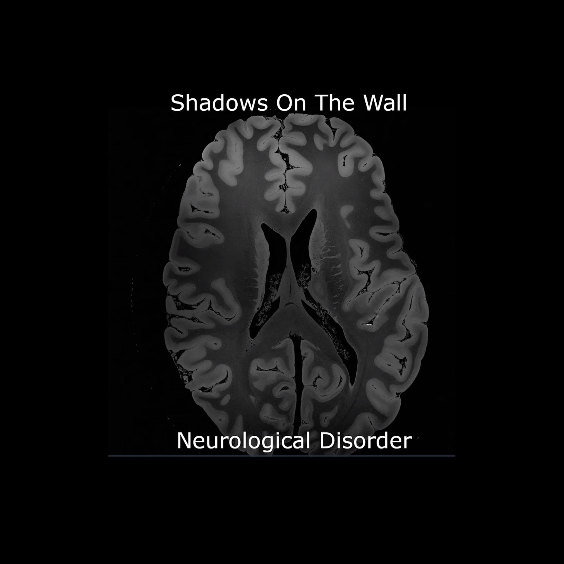 Постер альбома Neurological Disorder