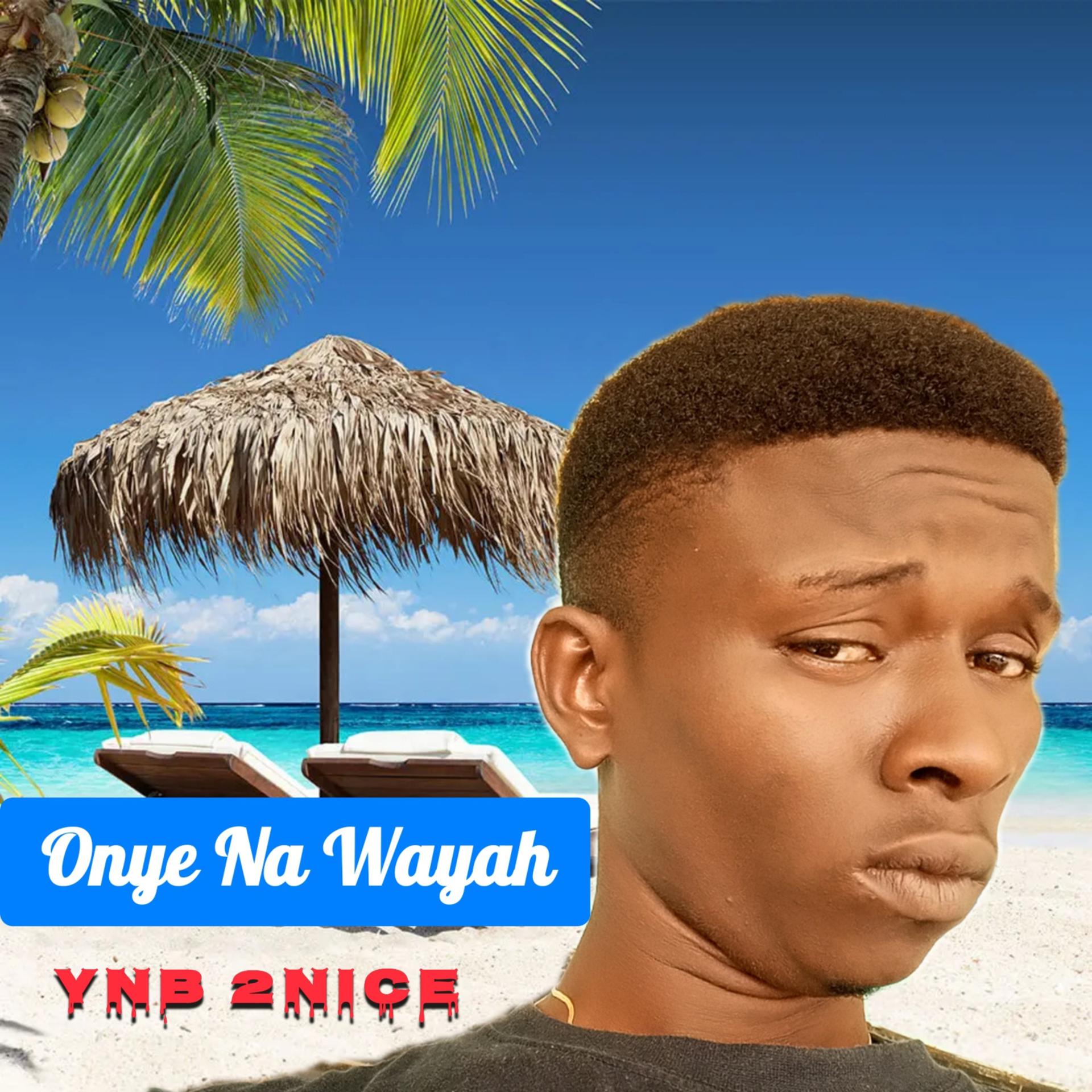 Постер альбома Onye Na Wayah