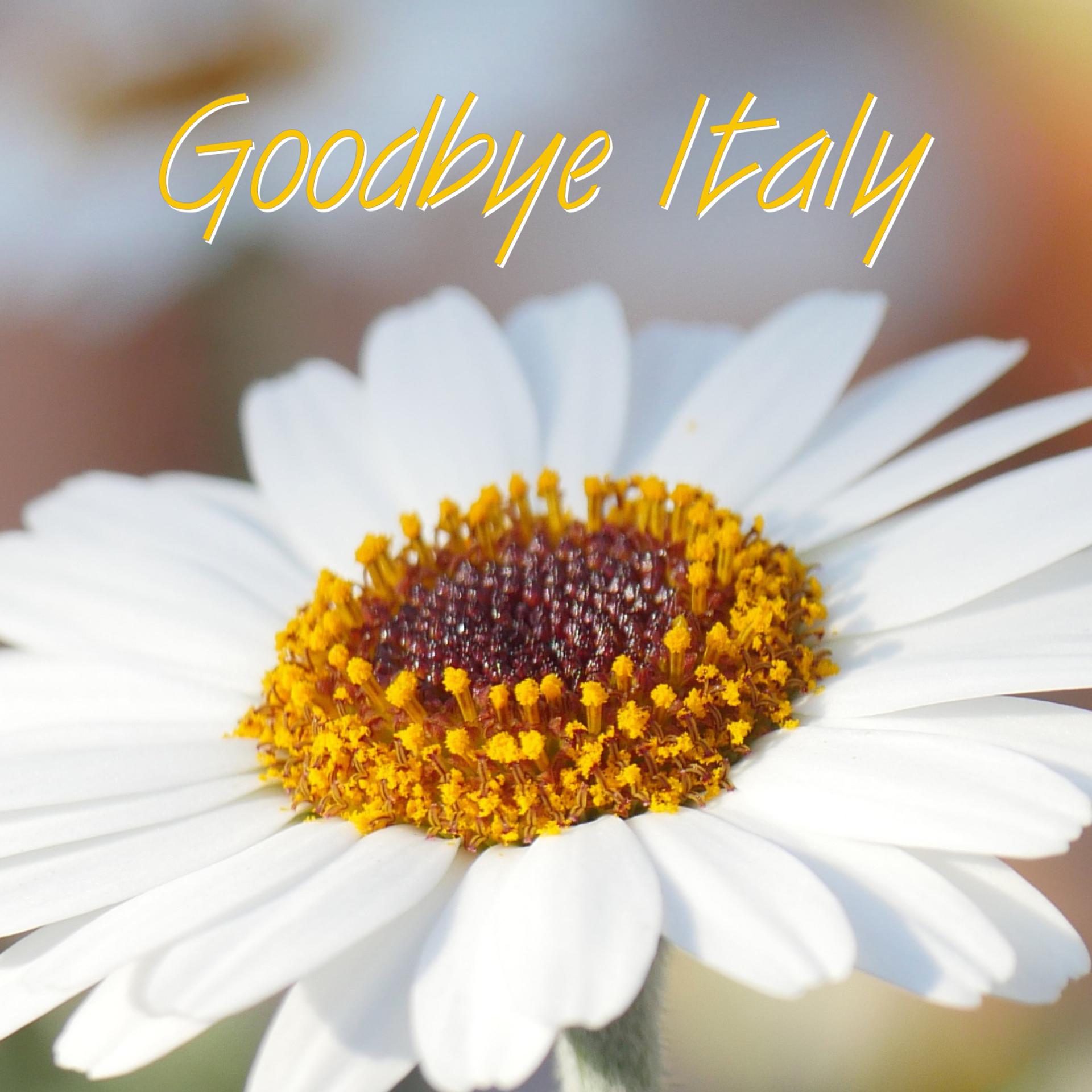 Постер альбома Goodbye Italy