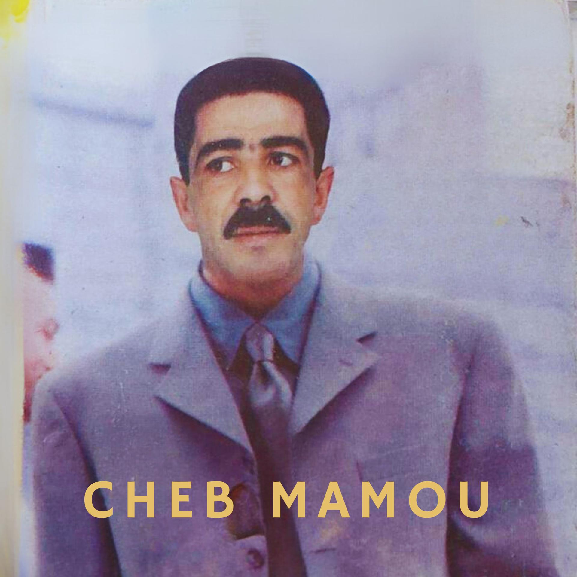 Постер альбома Zidou Charbou