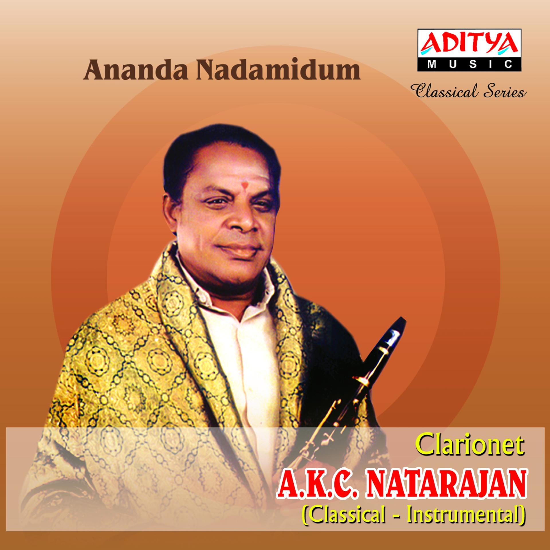 Постер альбома Ananda Nadamidum