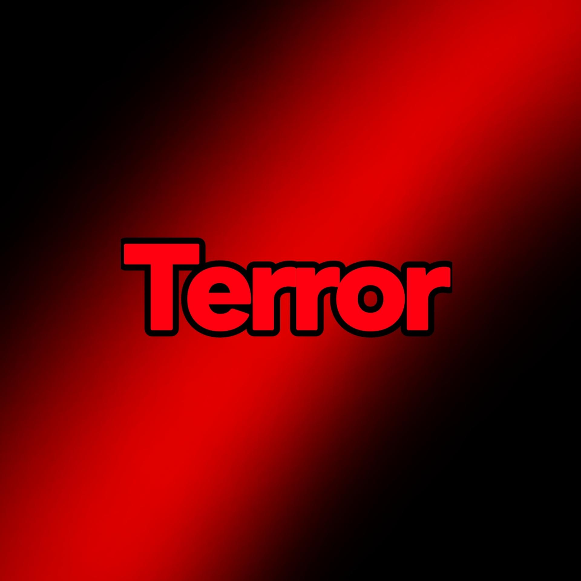 Постер альбома Terror