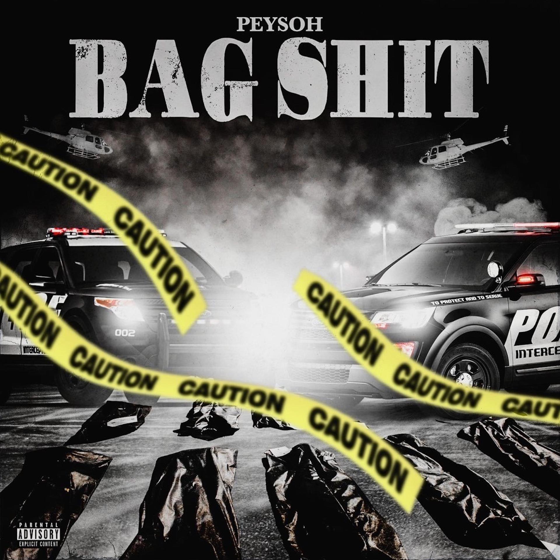 Постер альбома Bag Shit